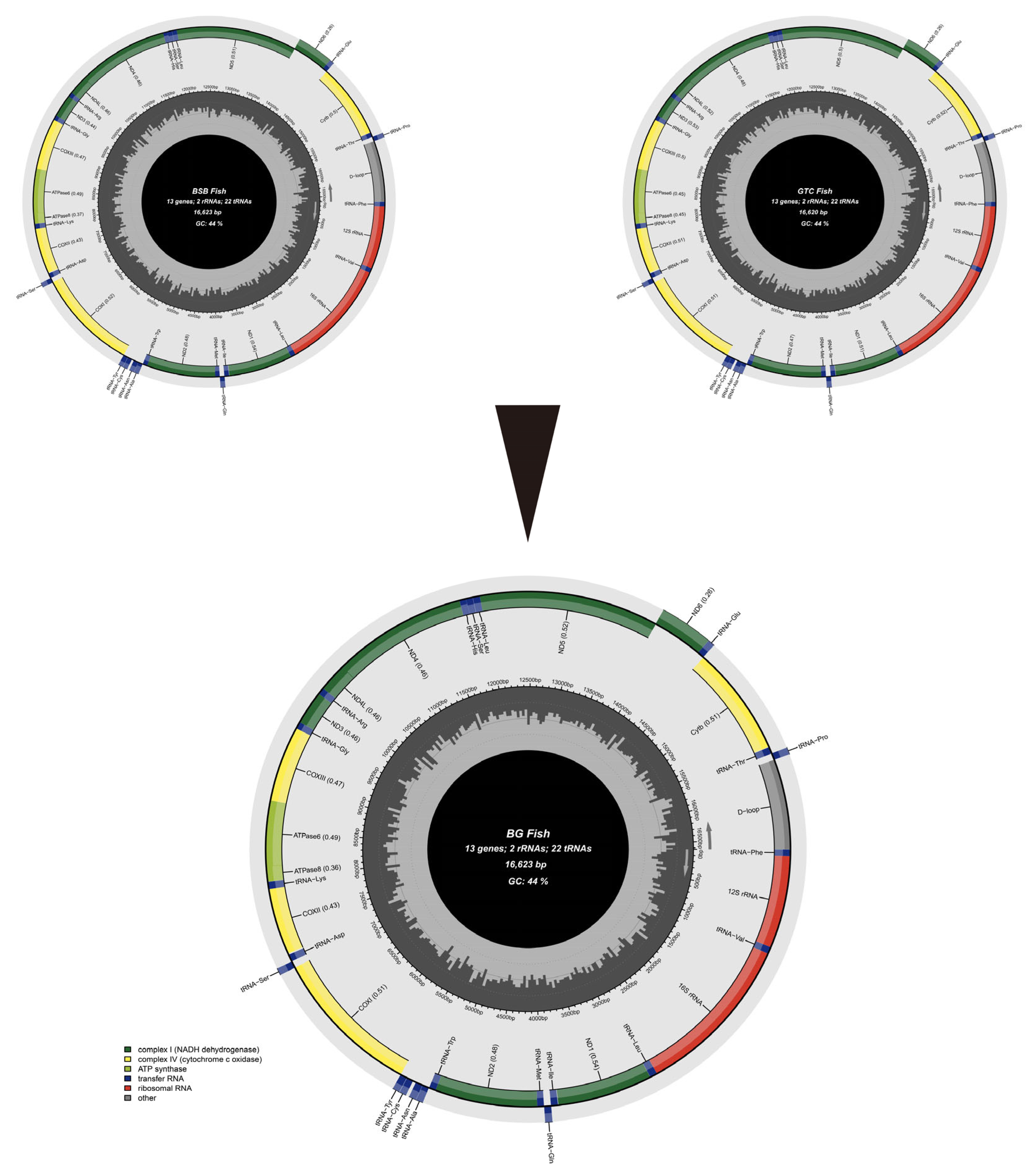Animals 15 03302 g007 Animals 15 03302 g007