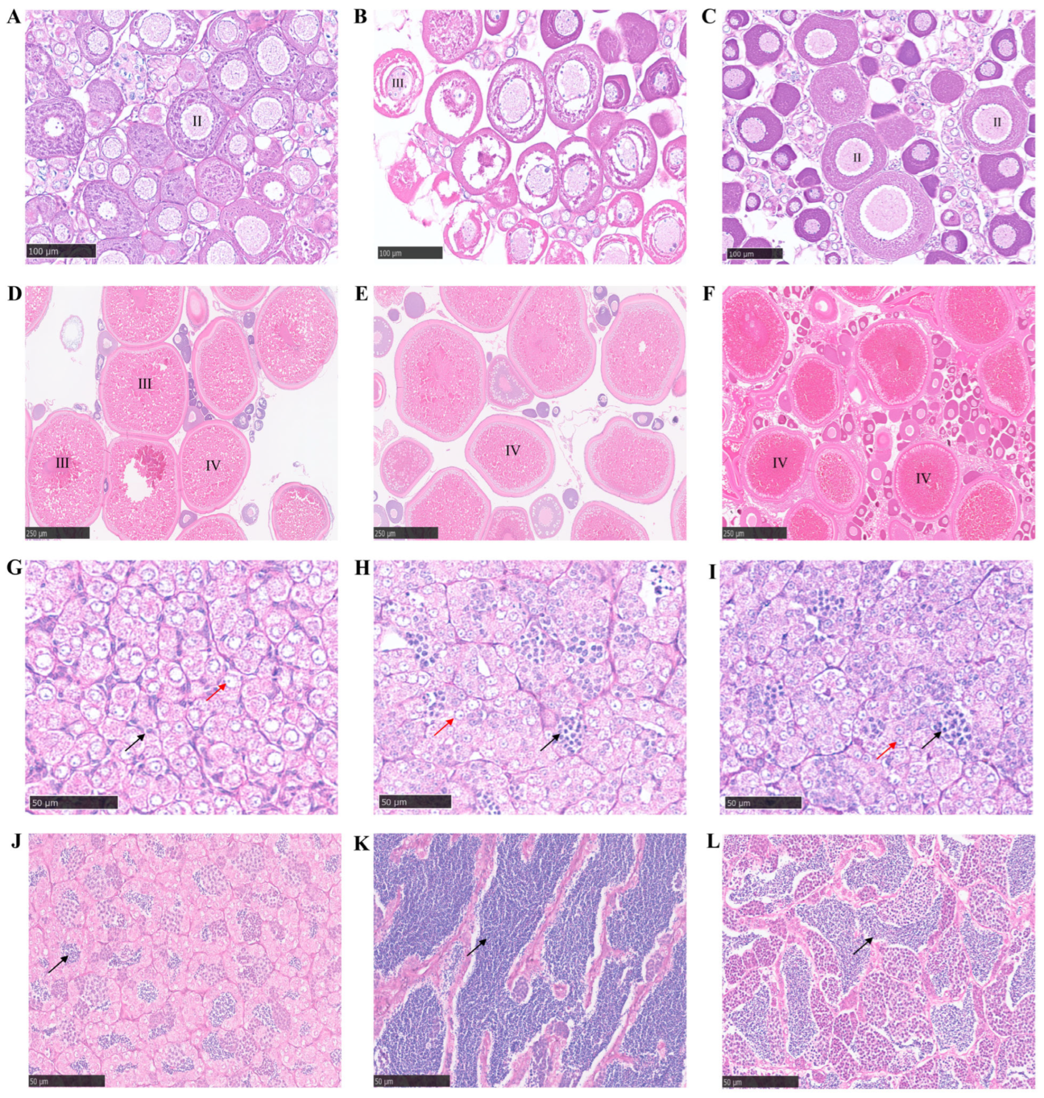 Animals 15 03302 g009 Animals 15 03302 g009