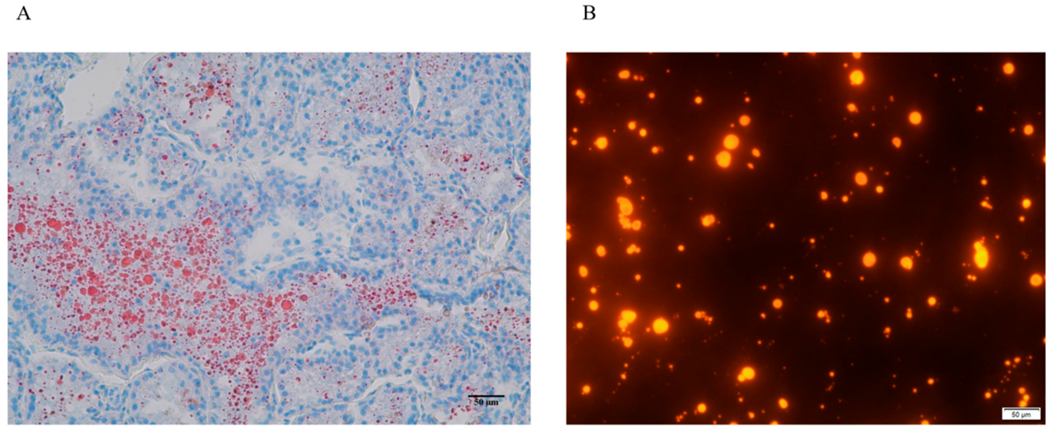 Animals 15 03303 g001 Animals 15 03303 g001