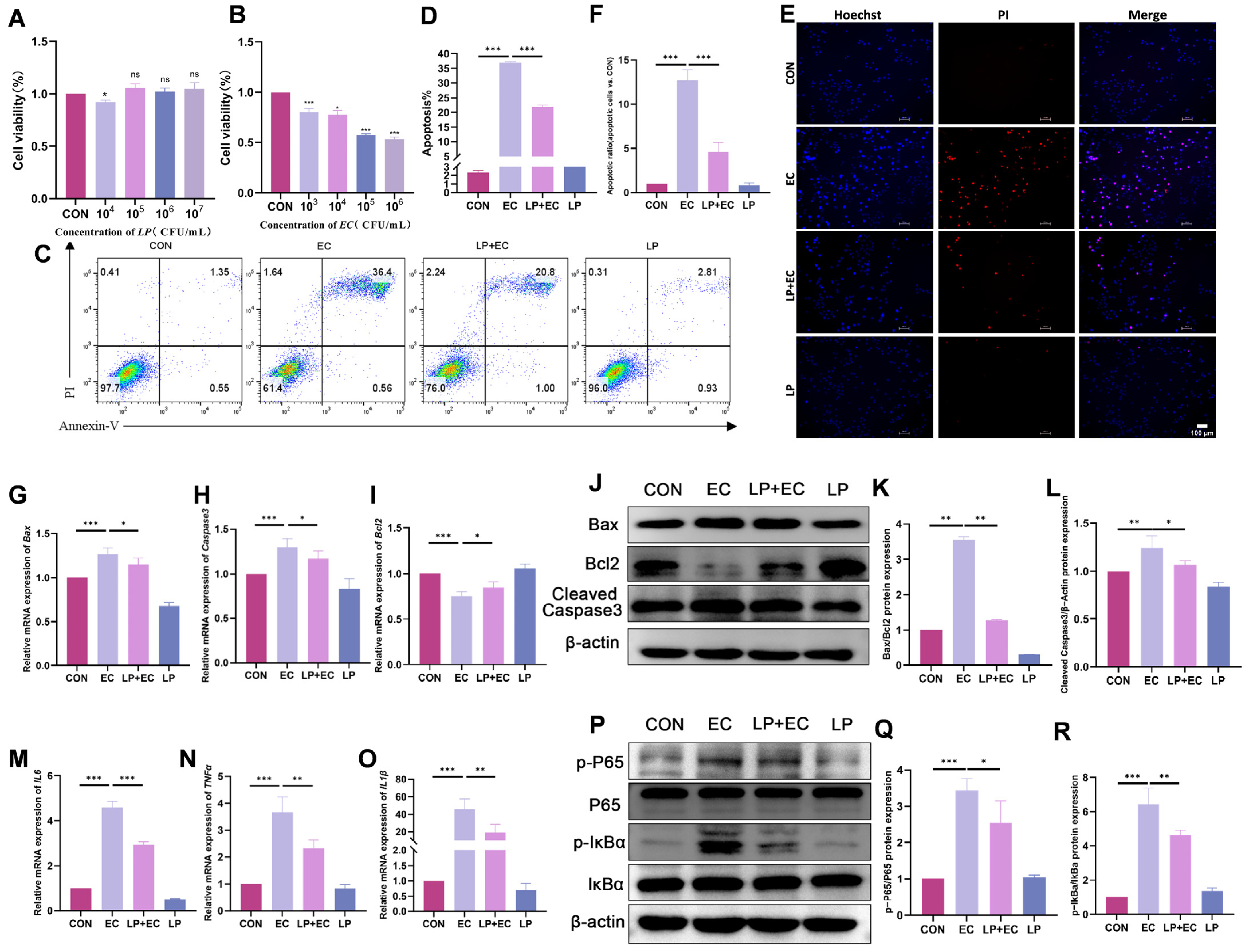 Animals 15 03305 g003