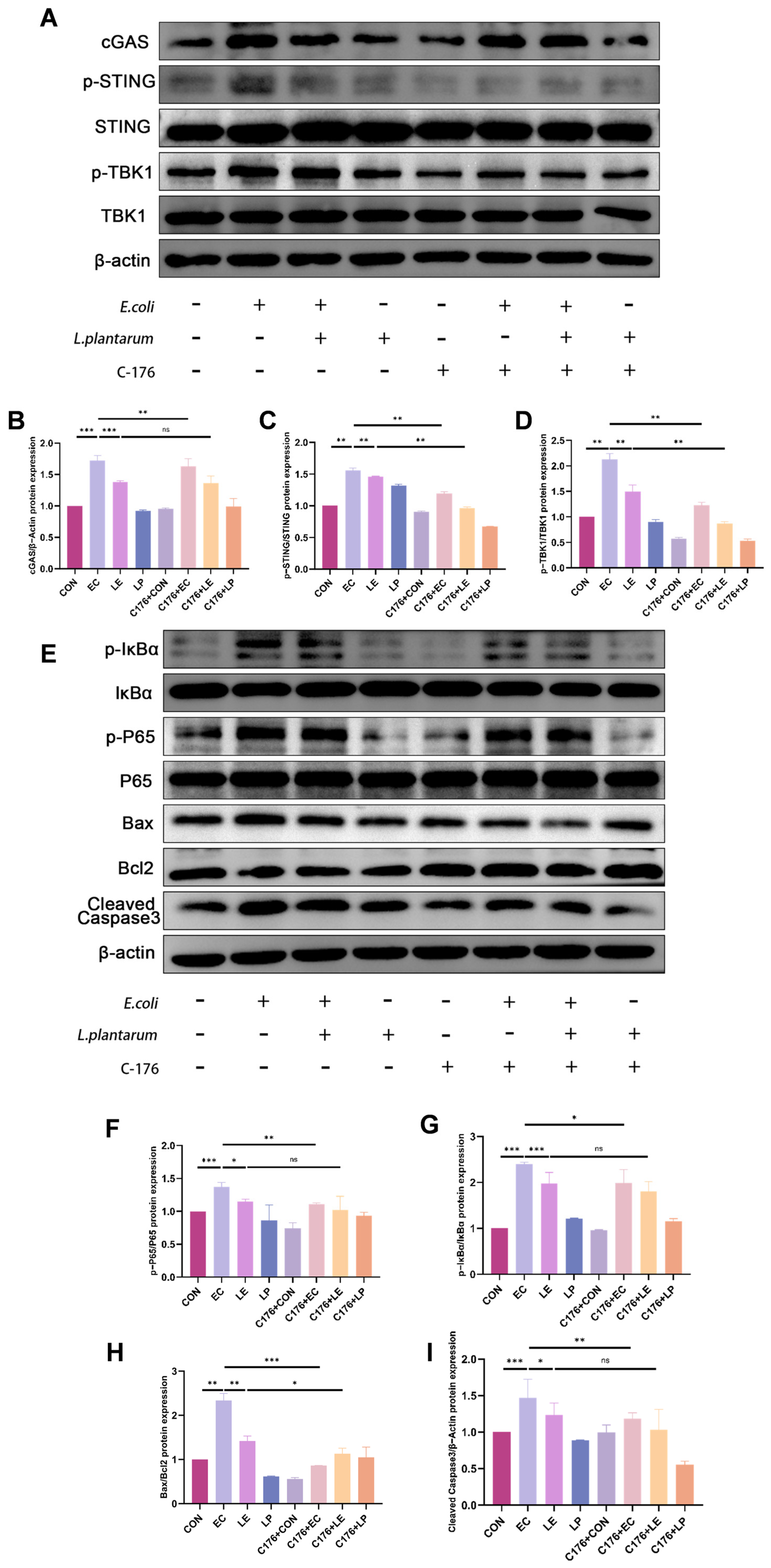 Animals 15 03305 g005