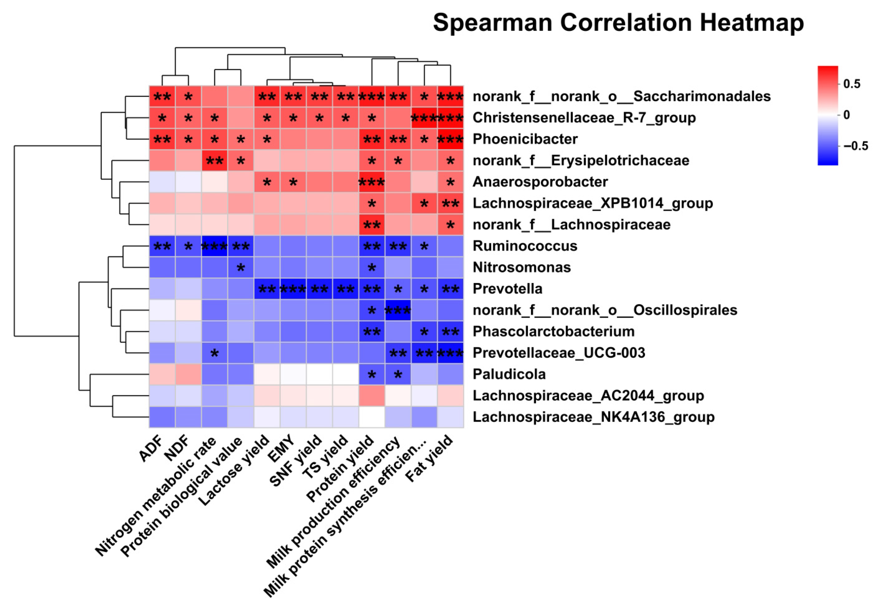 Animals 15 03309 g005