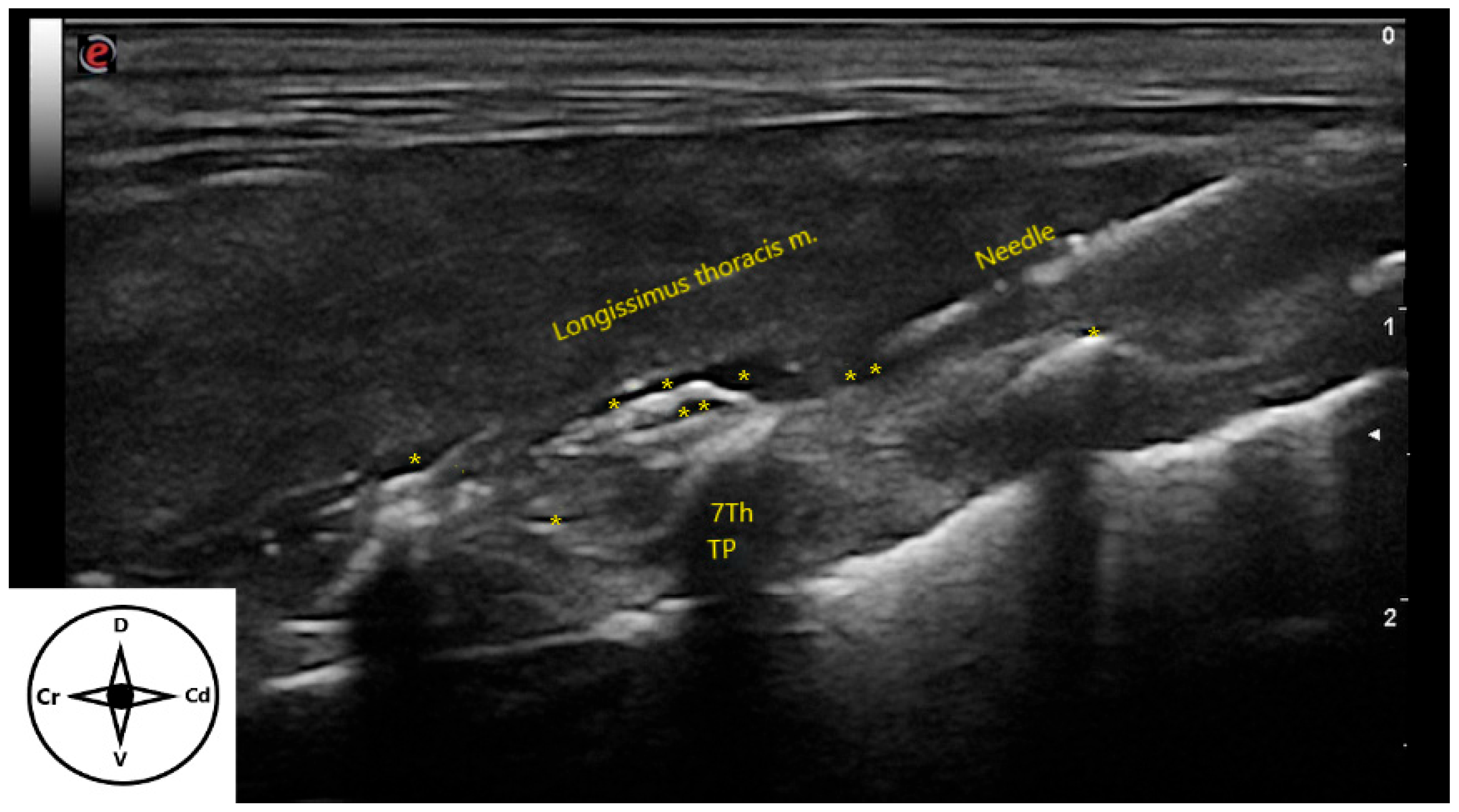 Animals 15 03311 g004