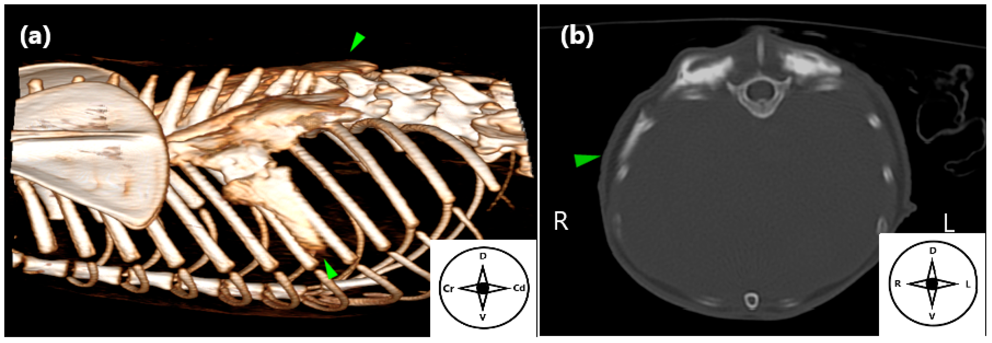 Animals 15 03311 g005