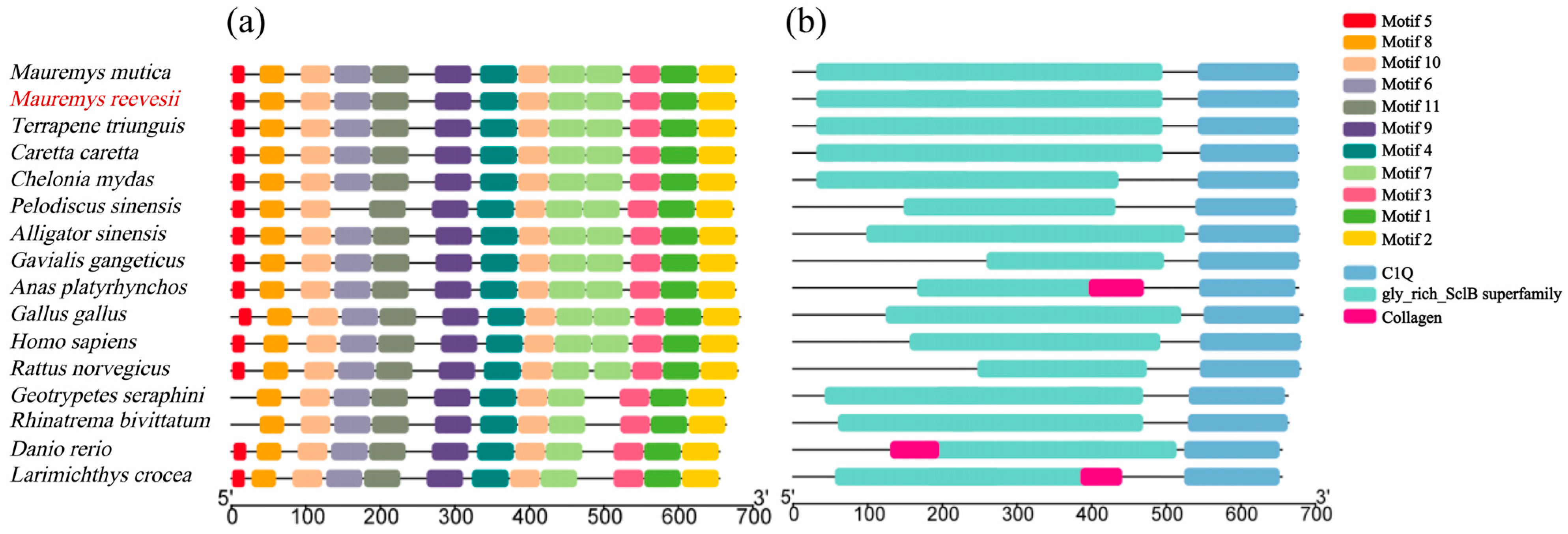 Animals 15 03315 g002