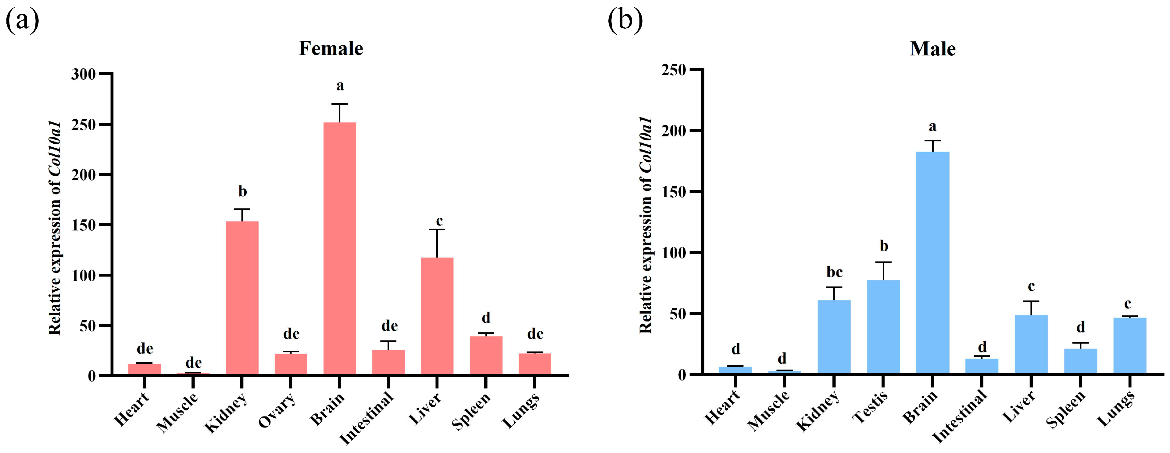 Animals 15 03315 g004