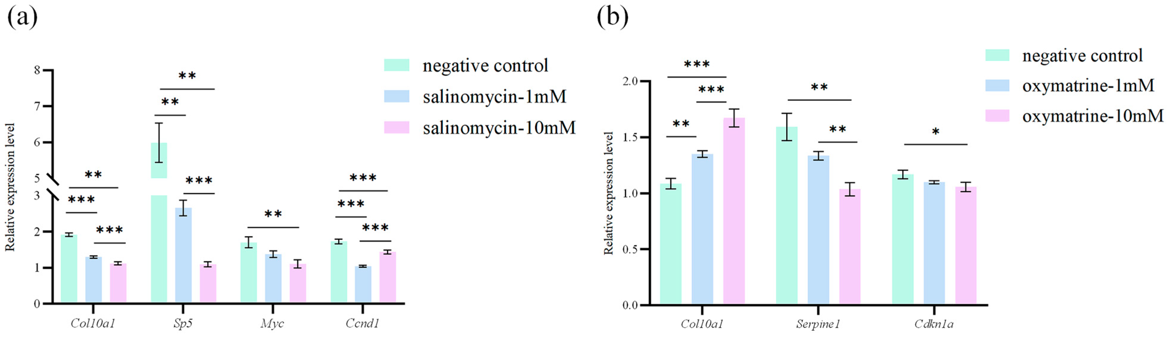 Animals 15 03315 g005