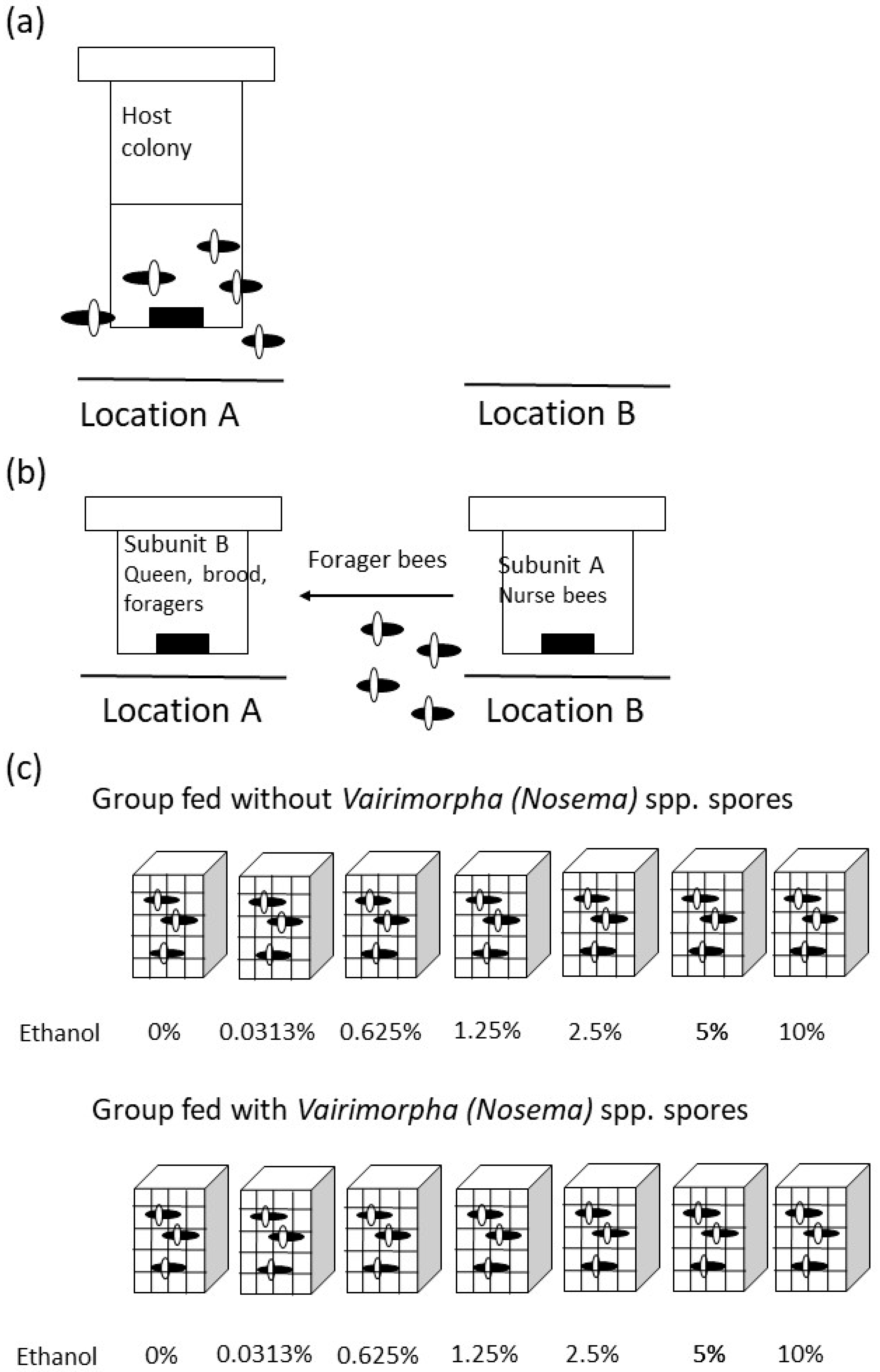 Animals 15 03316 g001