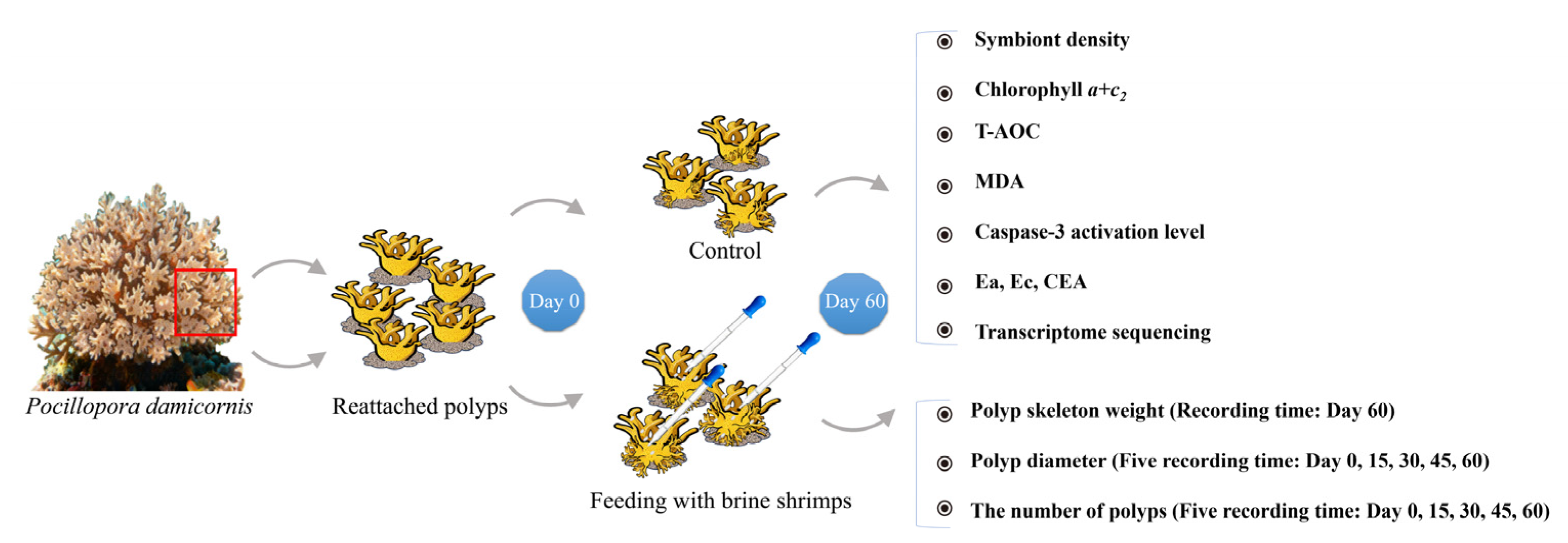 Animals 15 03318 g001