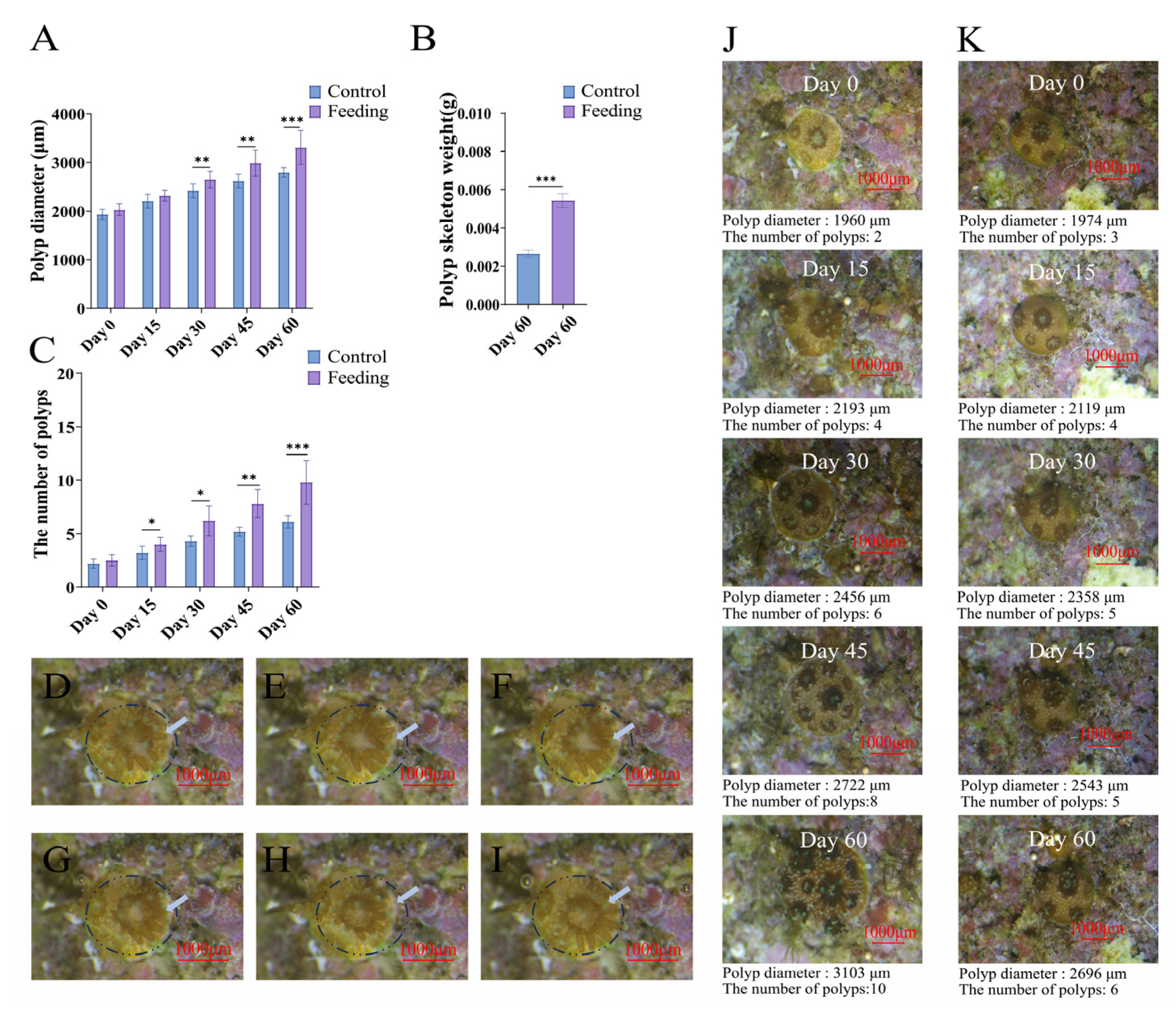Animals 15 03318 g002