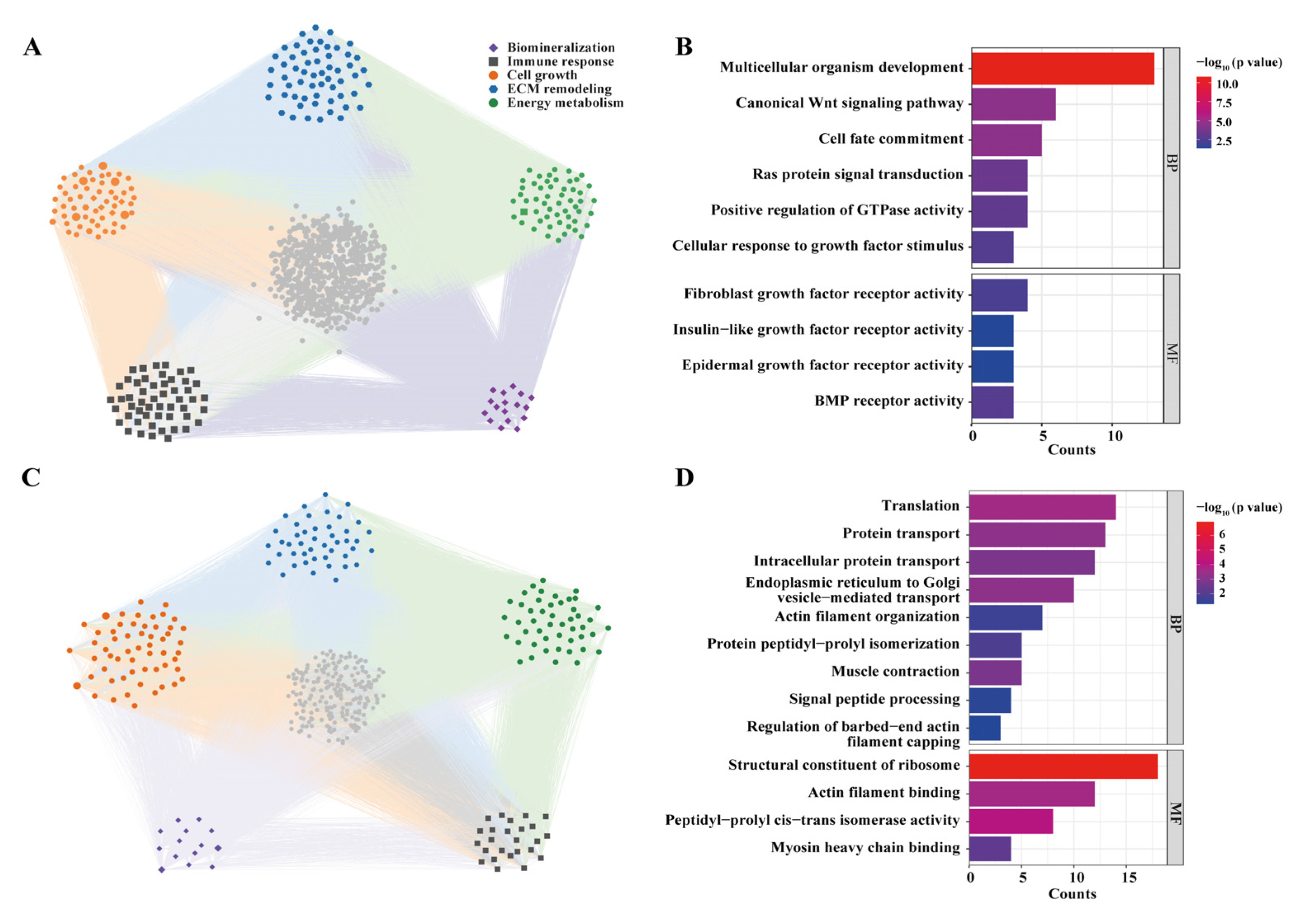 Animals 15 03318 g006