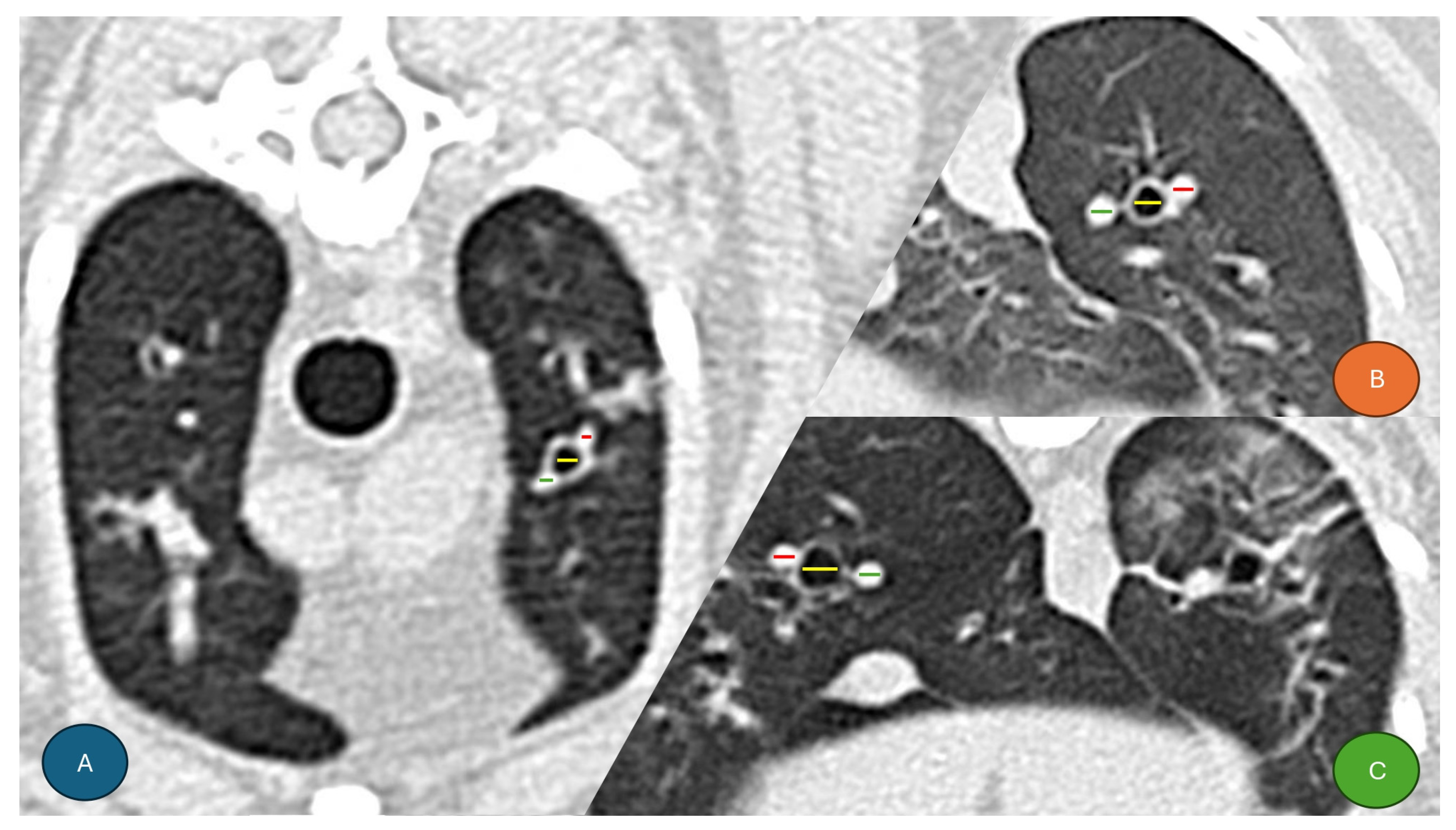 Animals 15 03320 g001 Animals 15 03320 g001