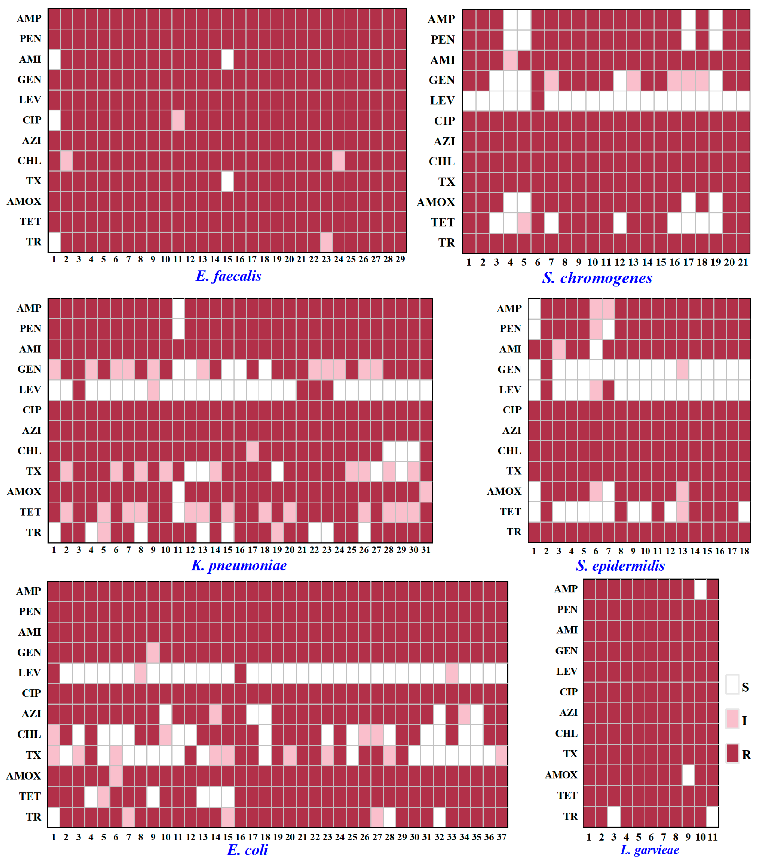 Animals 15 03321 g005