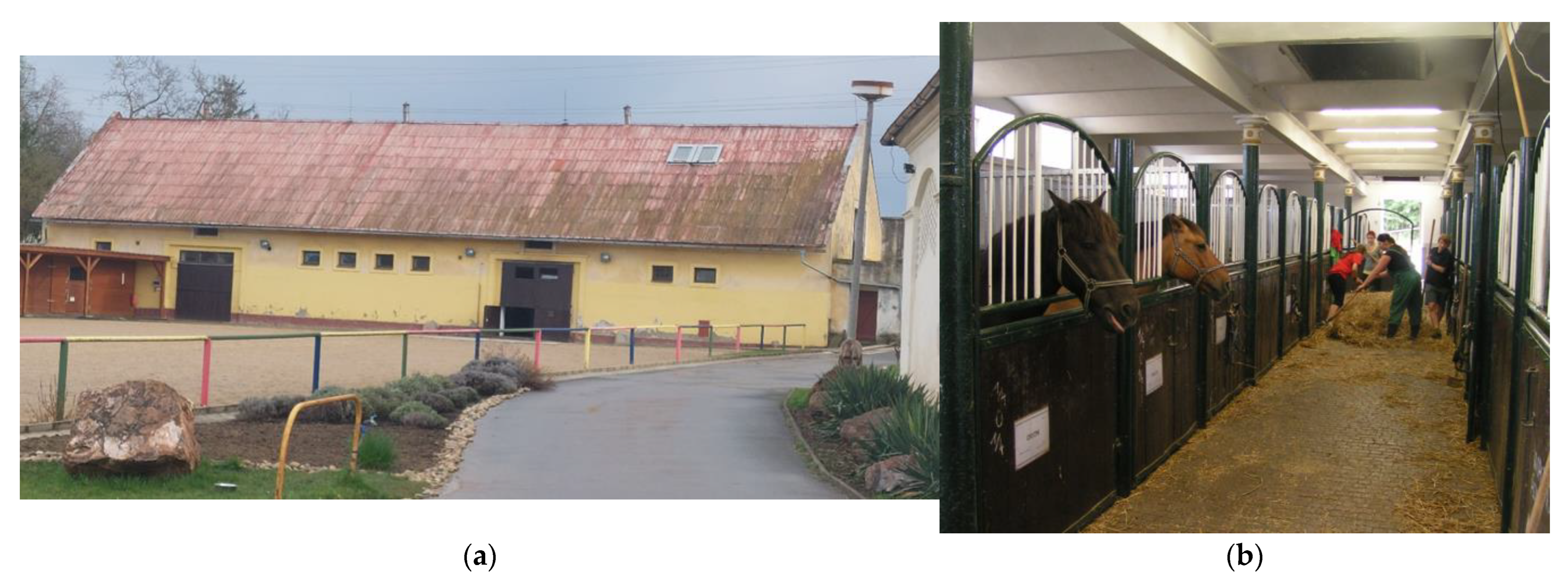 Animals 15 03322 g002