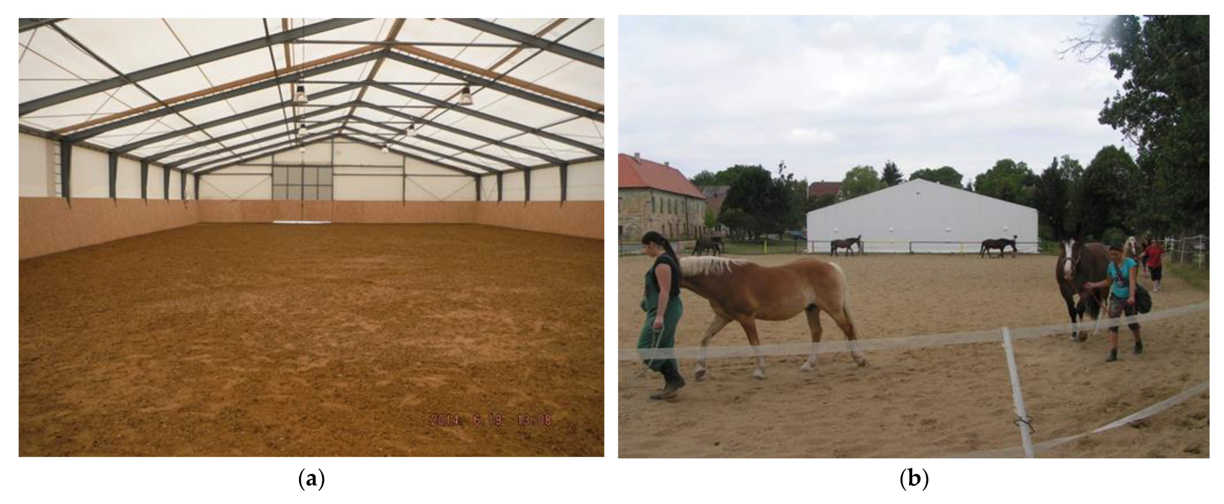 Animals 15 03322 g004a