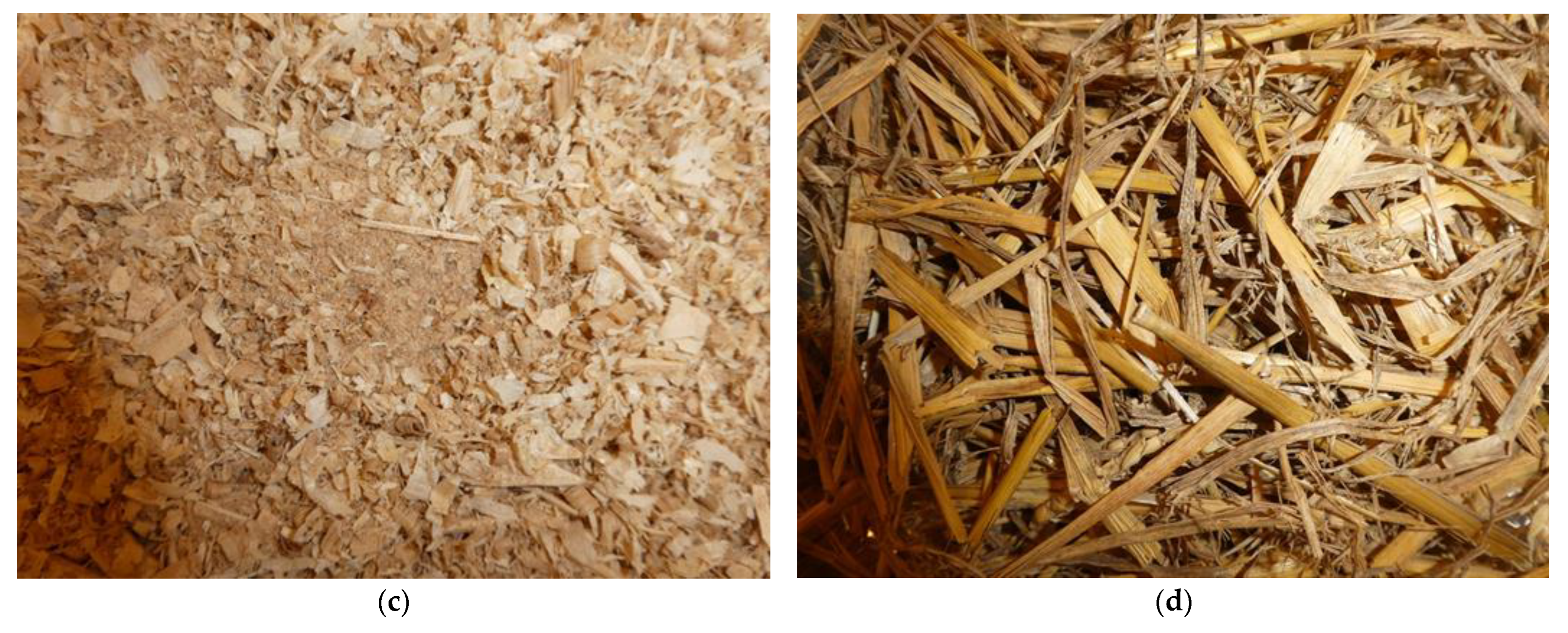 Animals 15 03322 g013b