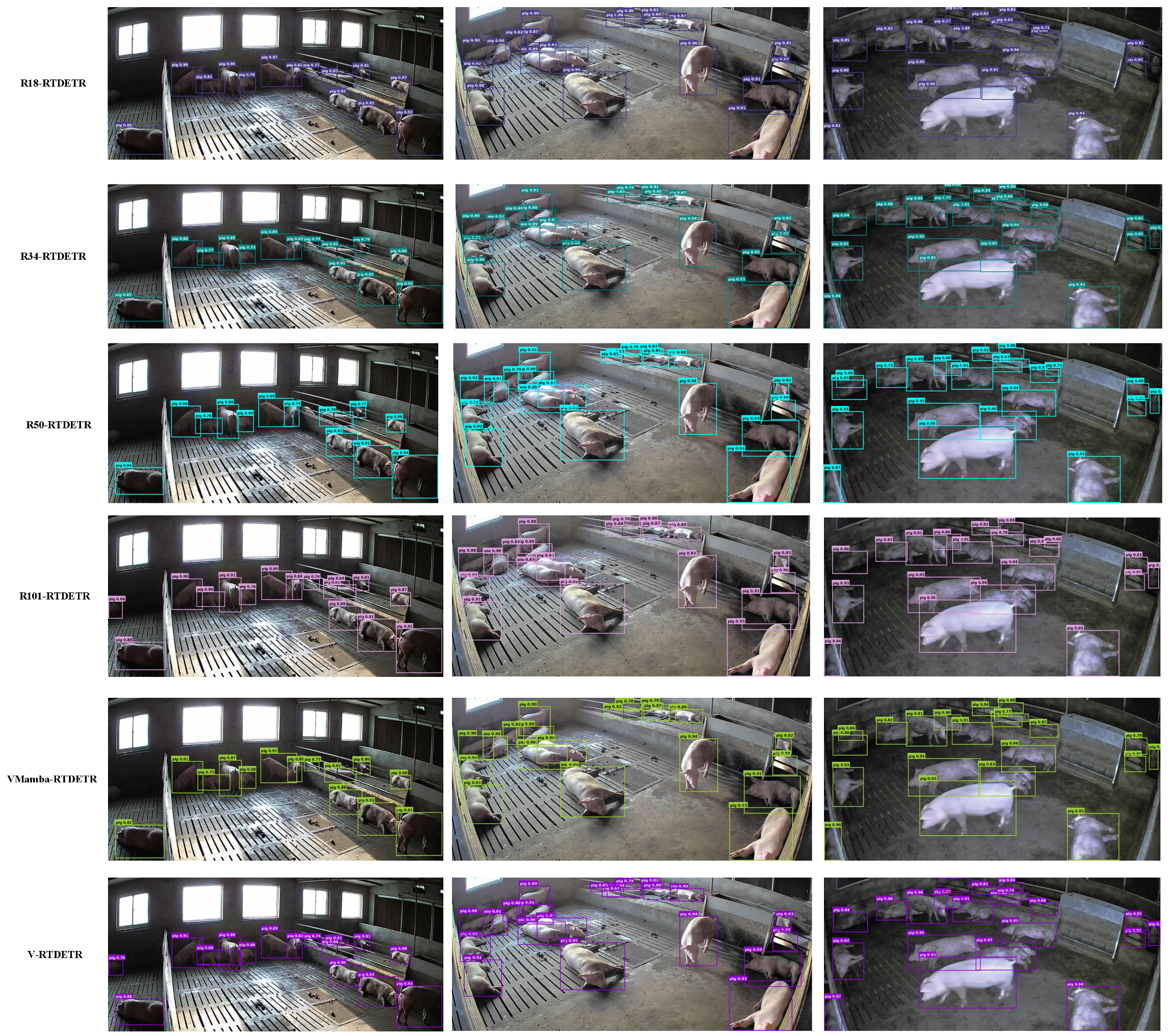 Animals 15 03328 g011