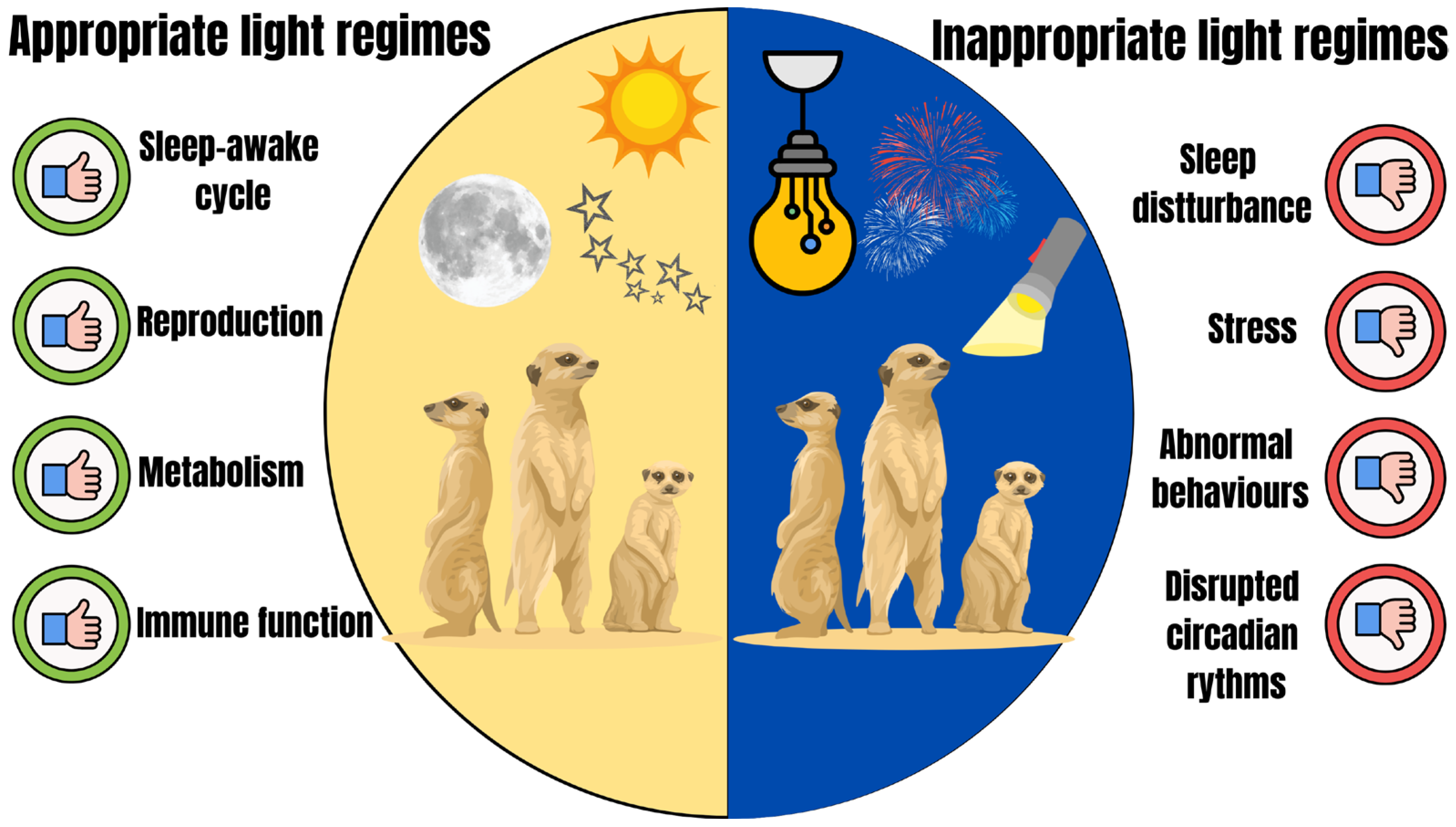 Animals 15 03329 g002