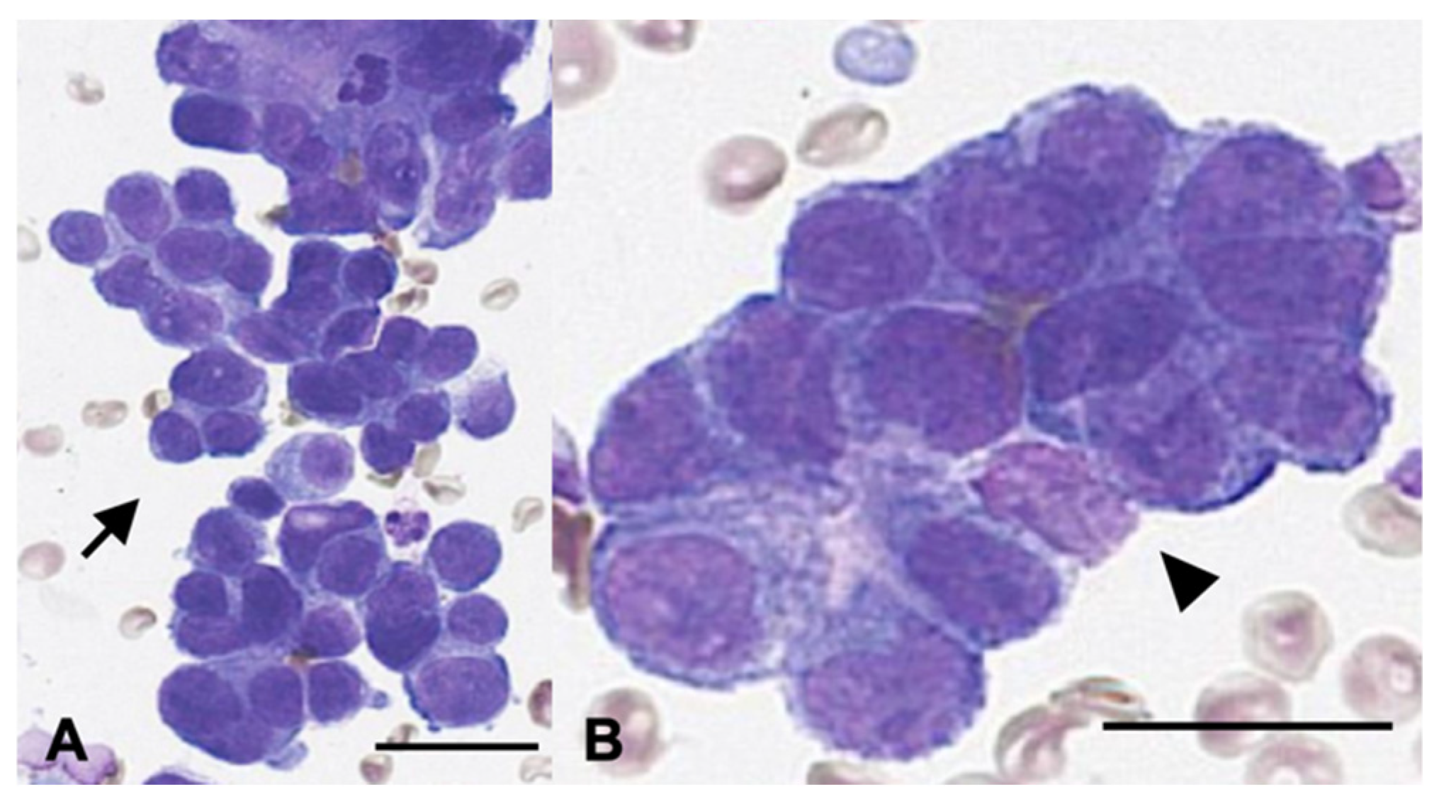 Animals 15 03330 g002