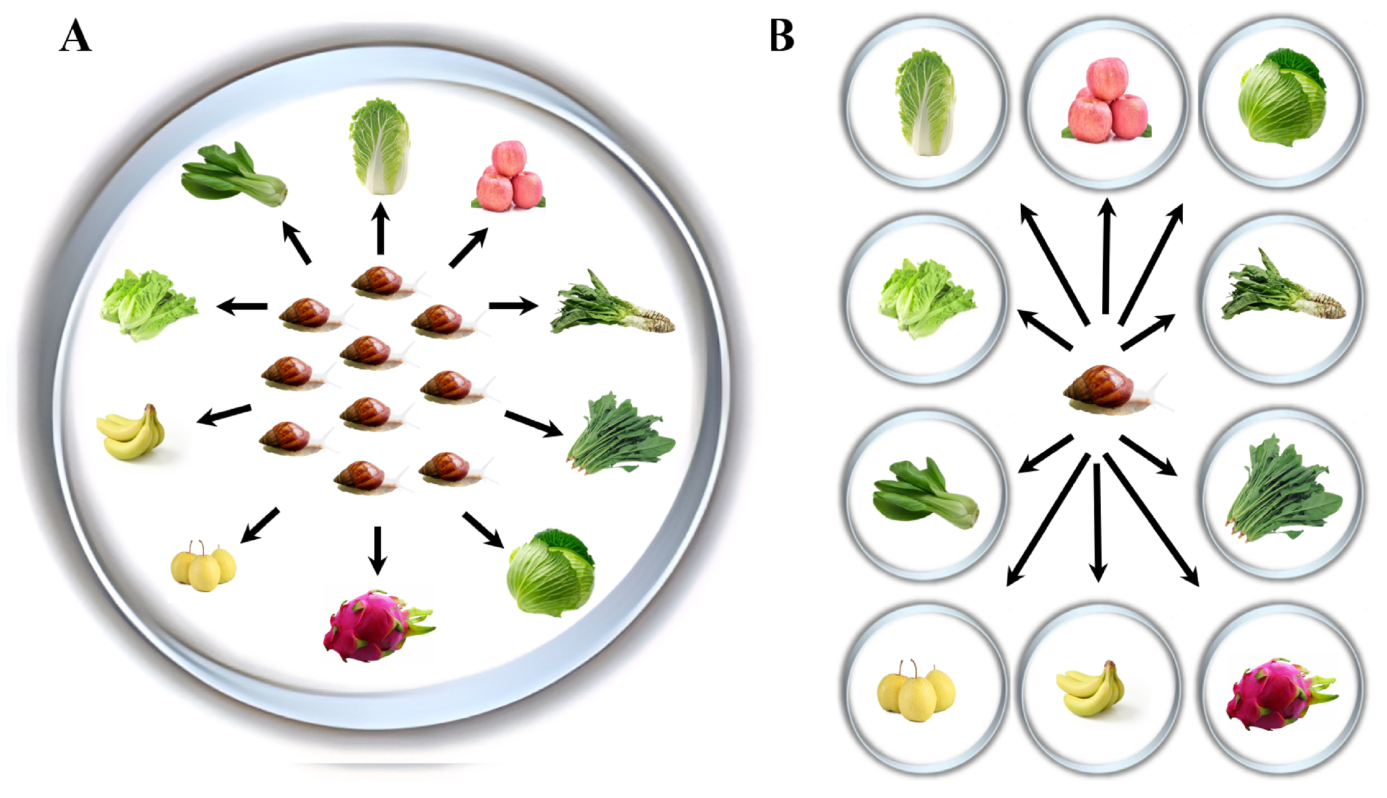 Animals 15 03333 g001