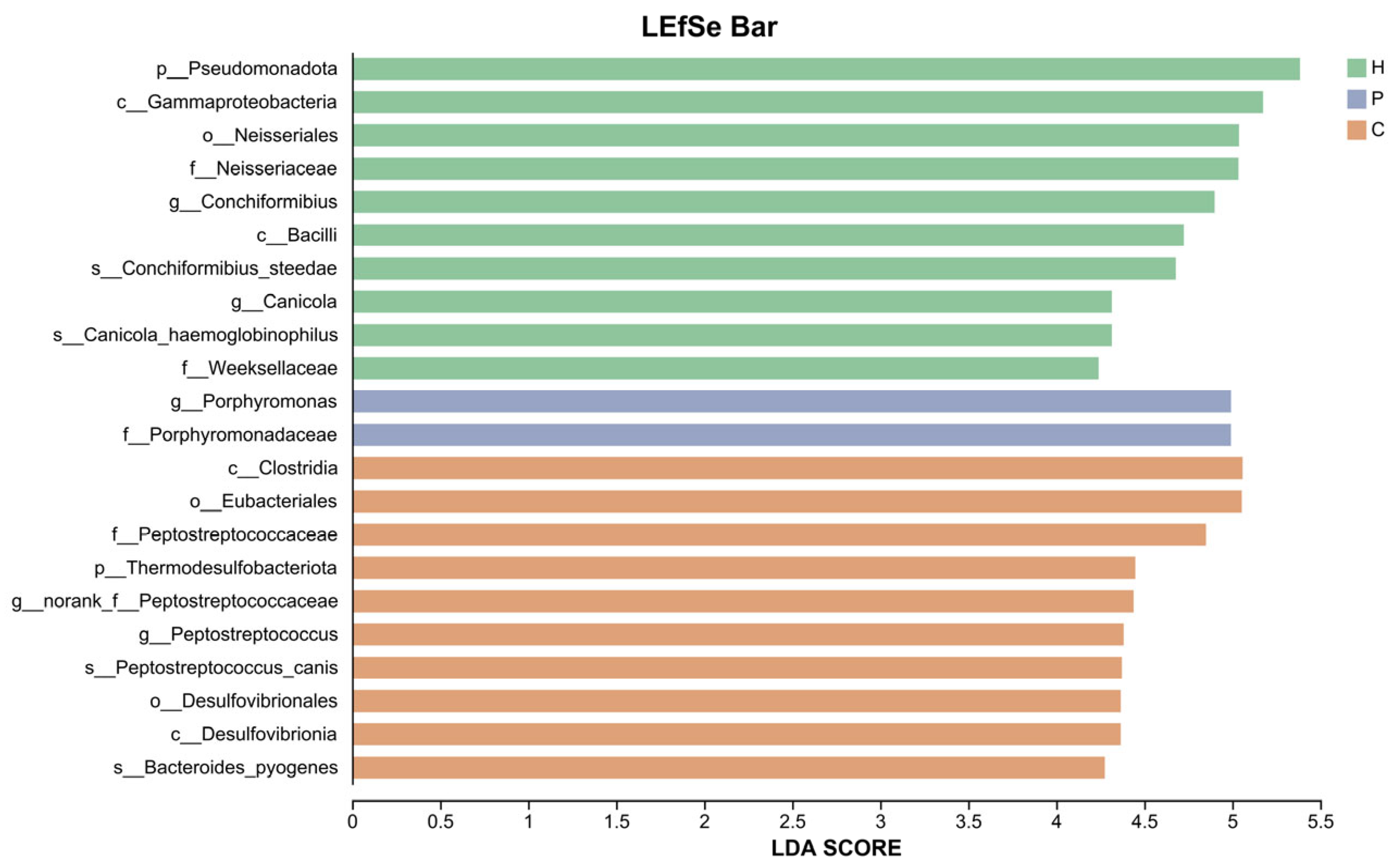 Animals 15 03335 g007