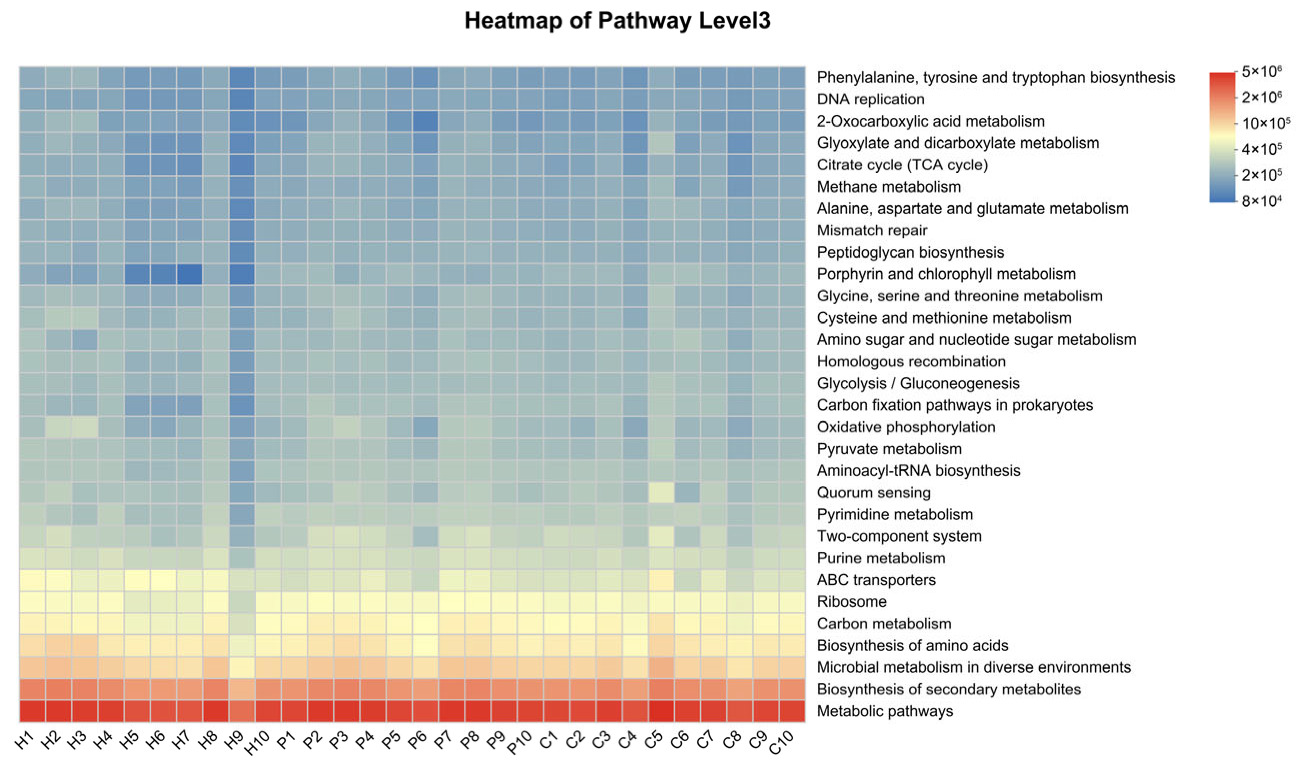 Animals 15 03335 g008