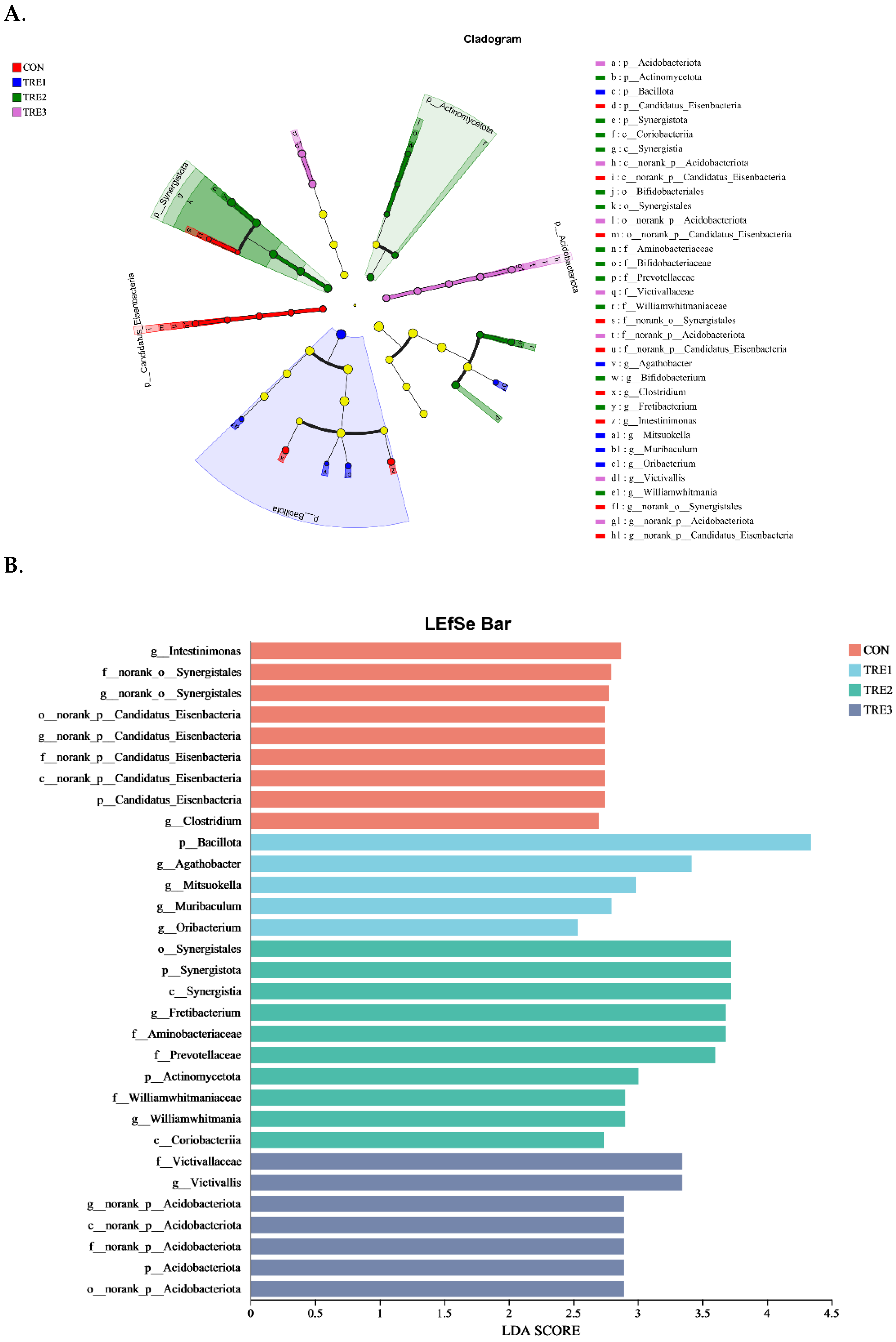 Animals 15 03337 g005