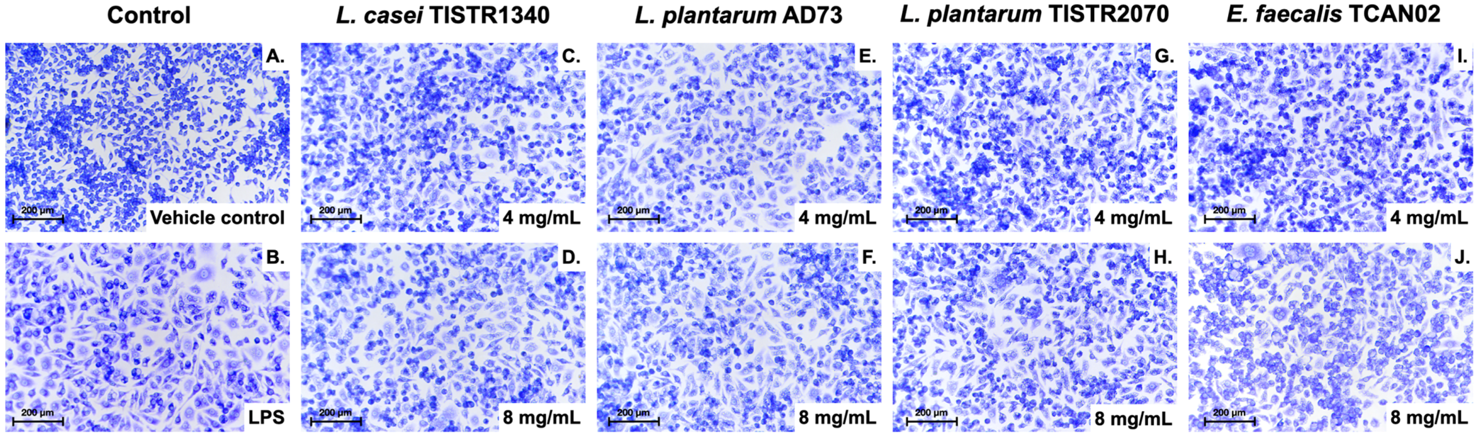 Animals 15 03338 g005