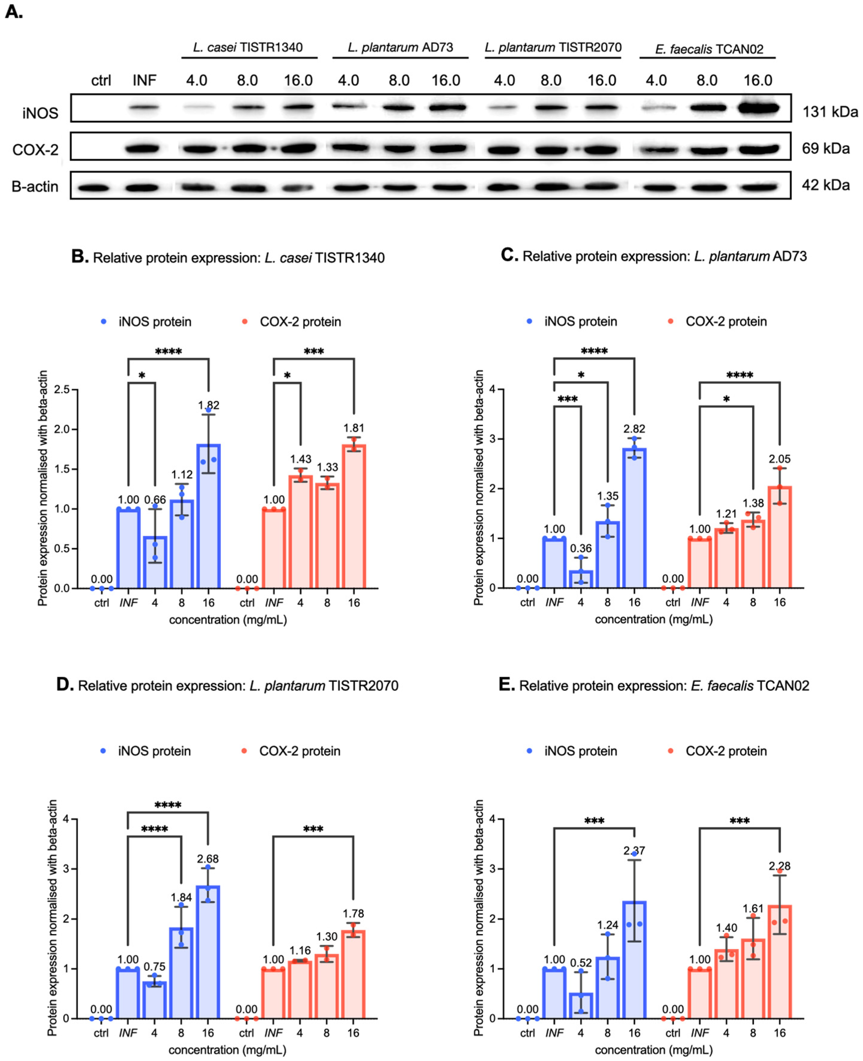Animals 15 03338 g008