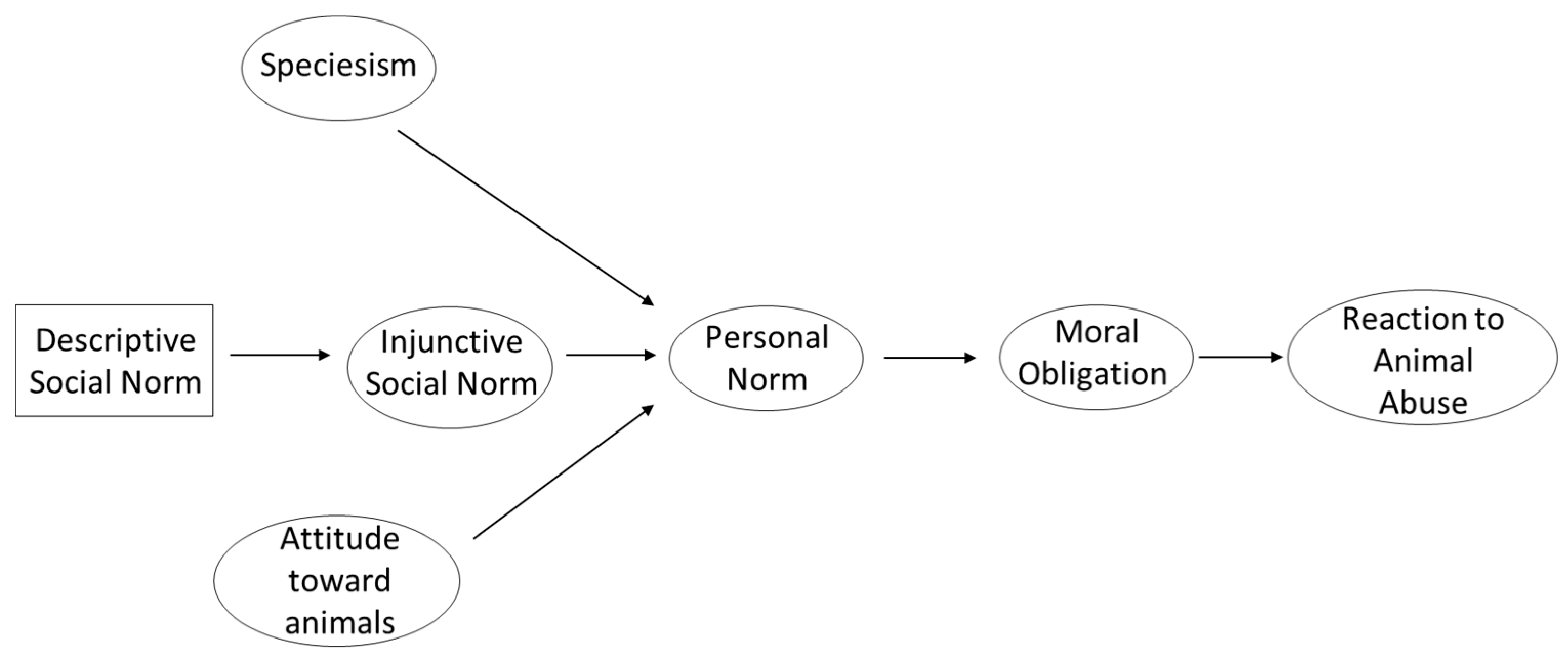 Animals 15 03339 g001