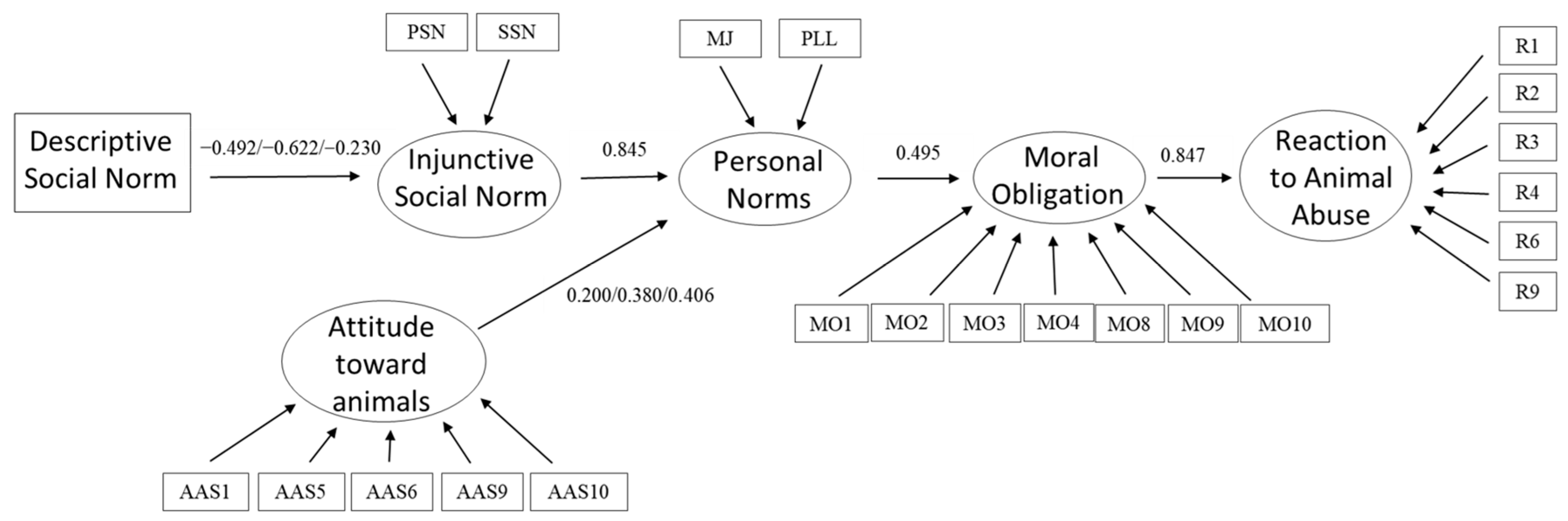 Animals 15 03339 g003