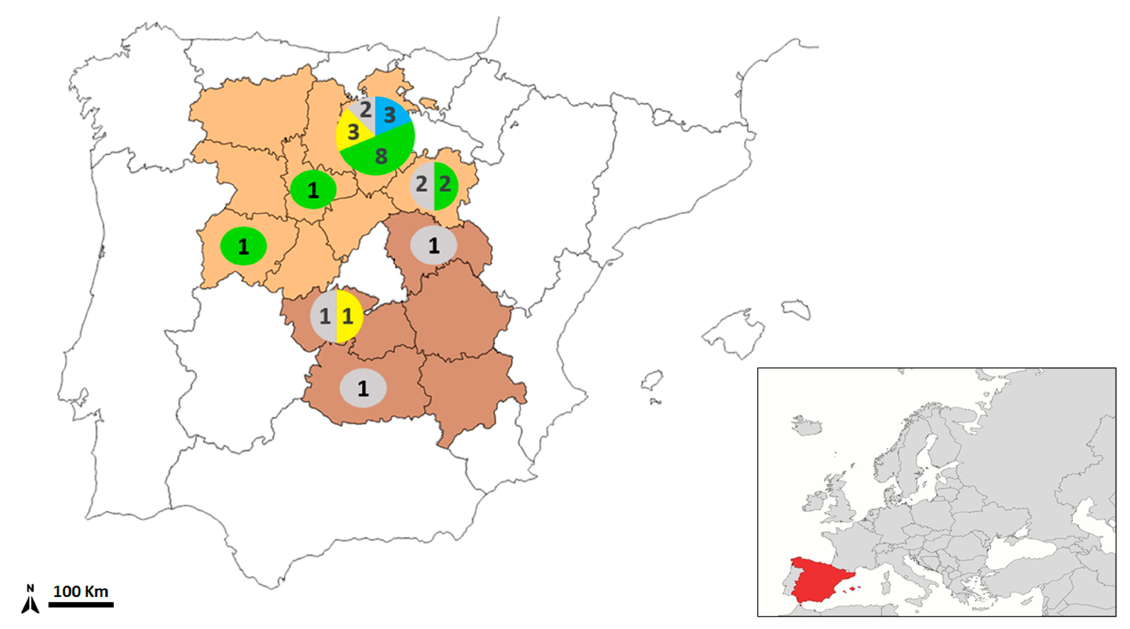 Animals 15 03340 g001