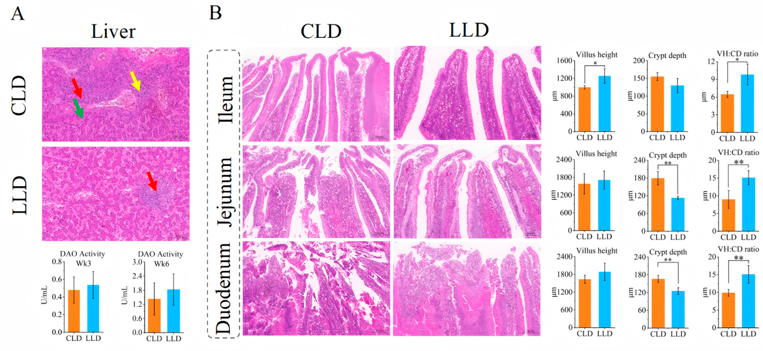 Animals 15 03346 g002