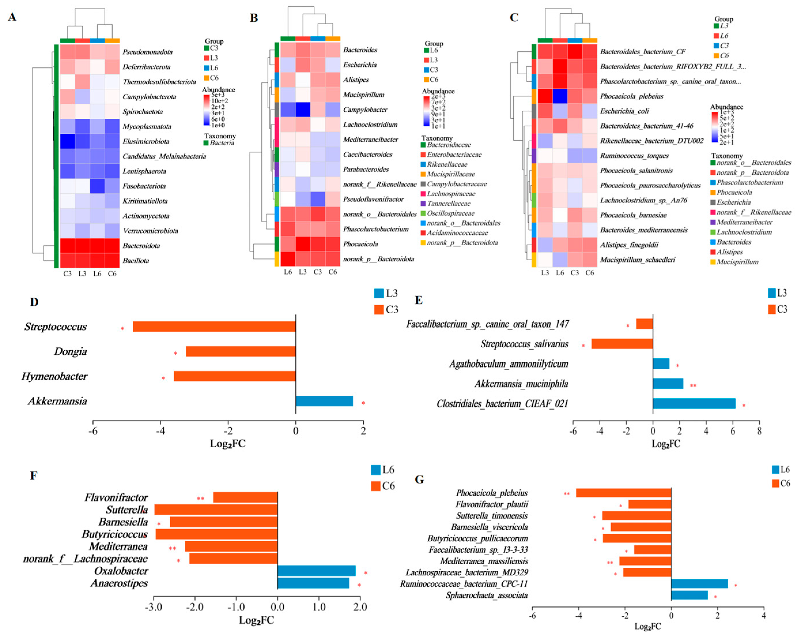 Animals 15 03346 g004