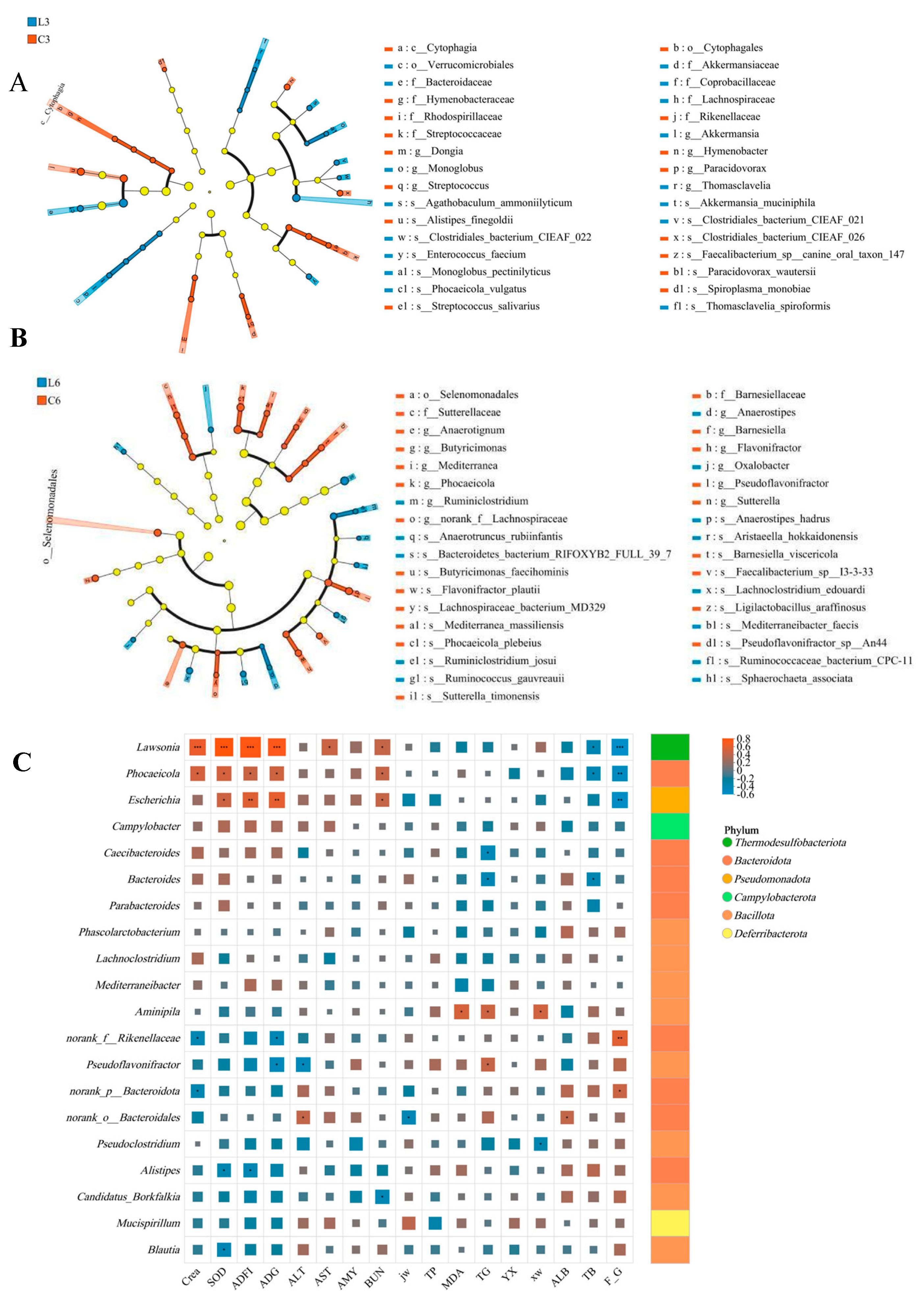 Animals 15 03346 g005