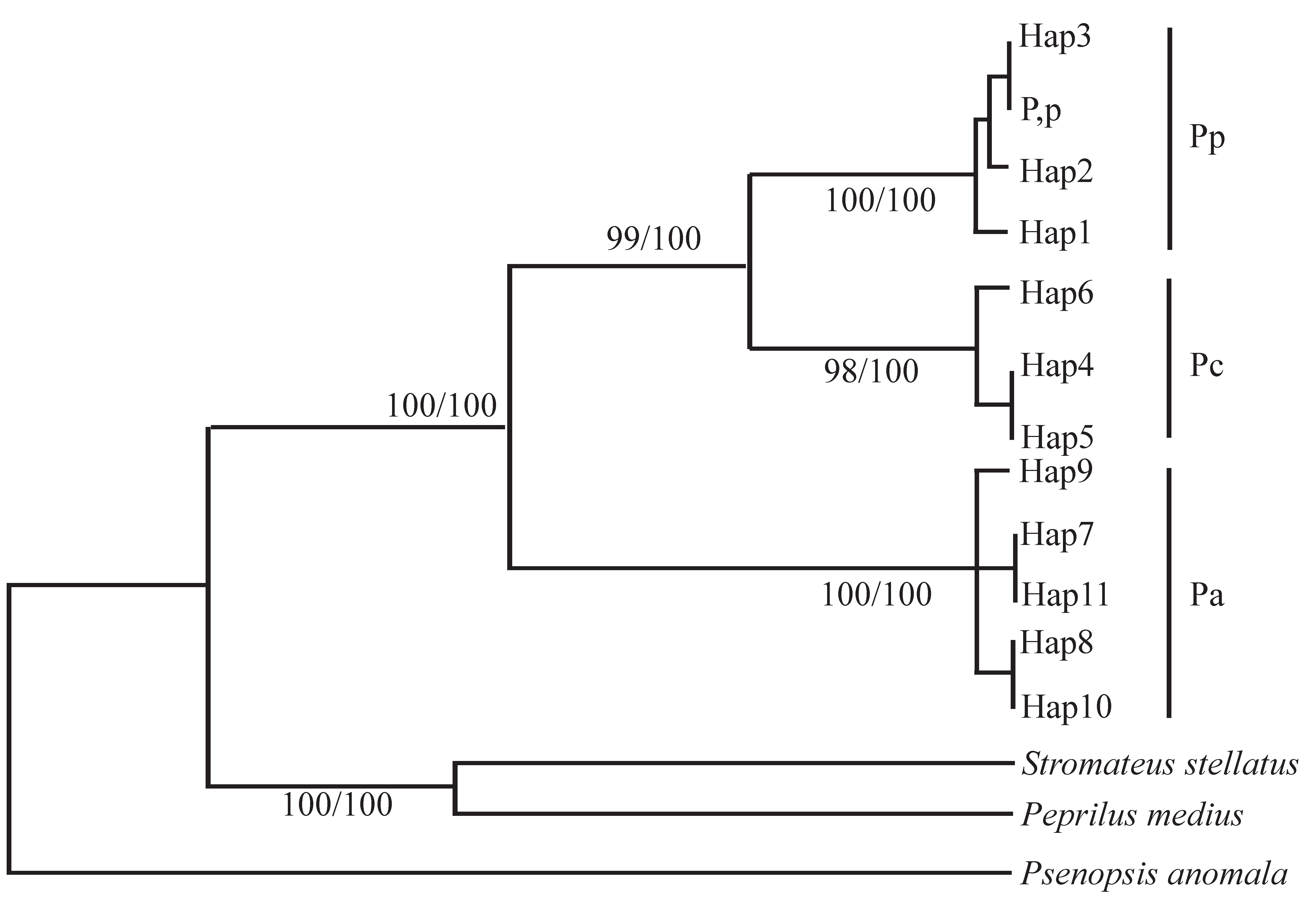 Animals 15 03347 g004