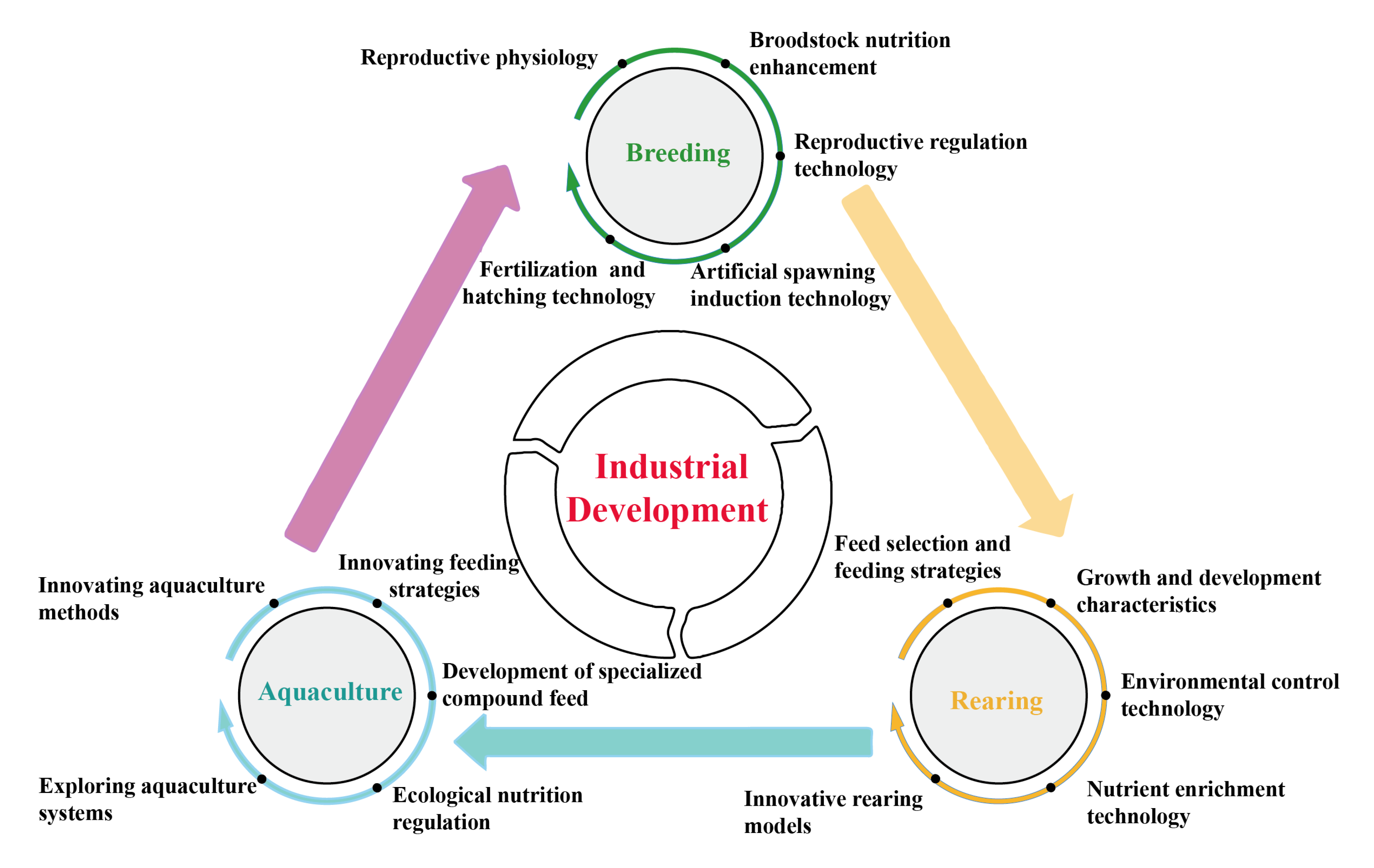 Animals 15 03347 g006