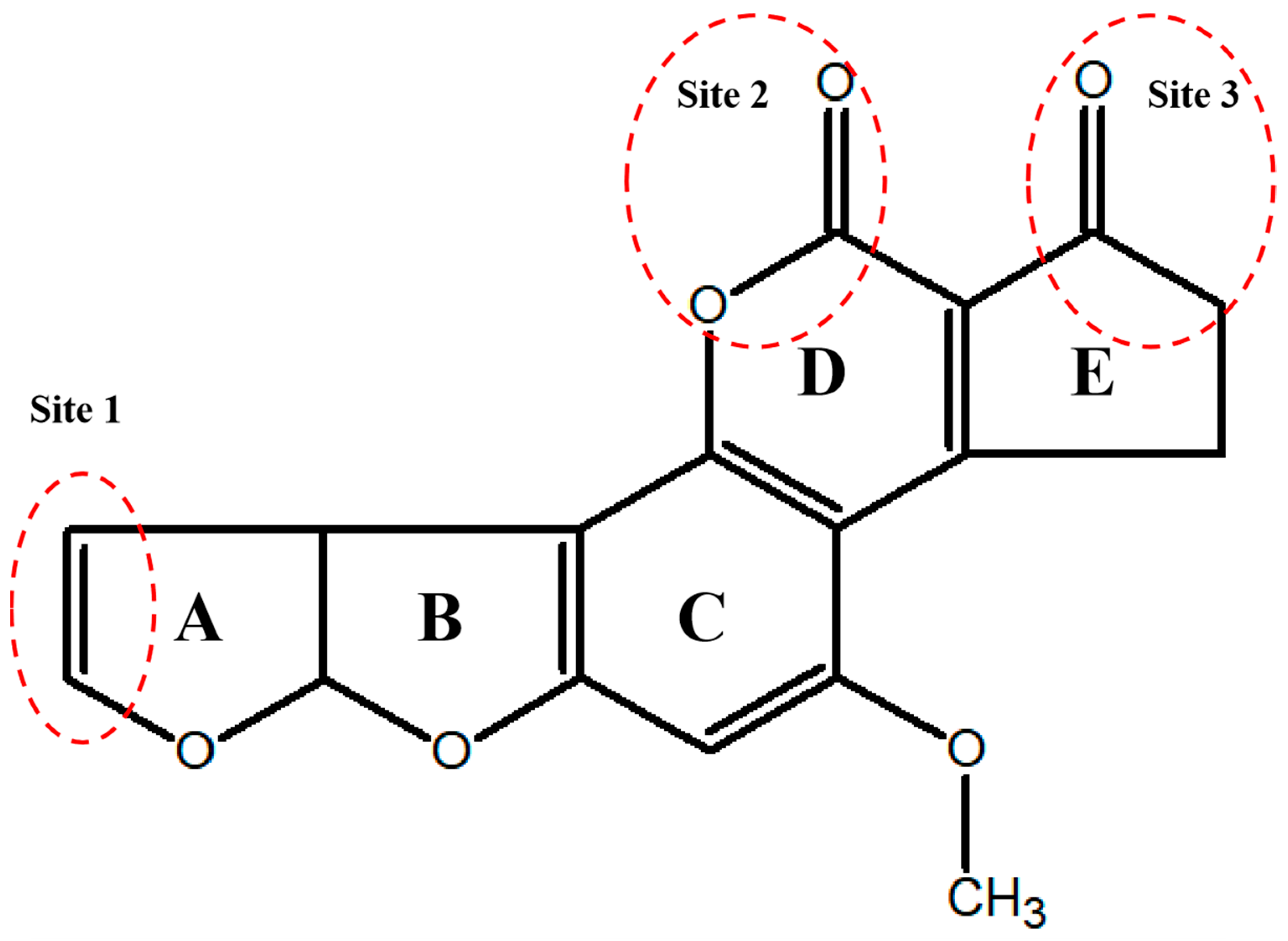 Animals 15 03351 g001