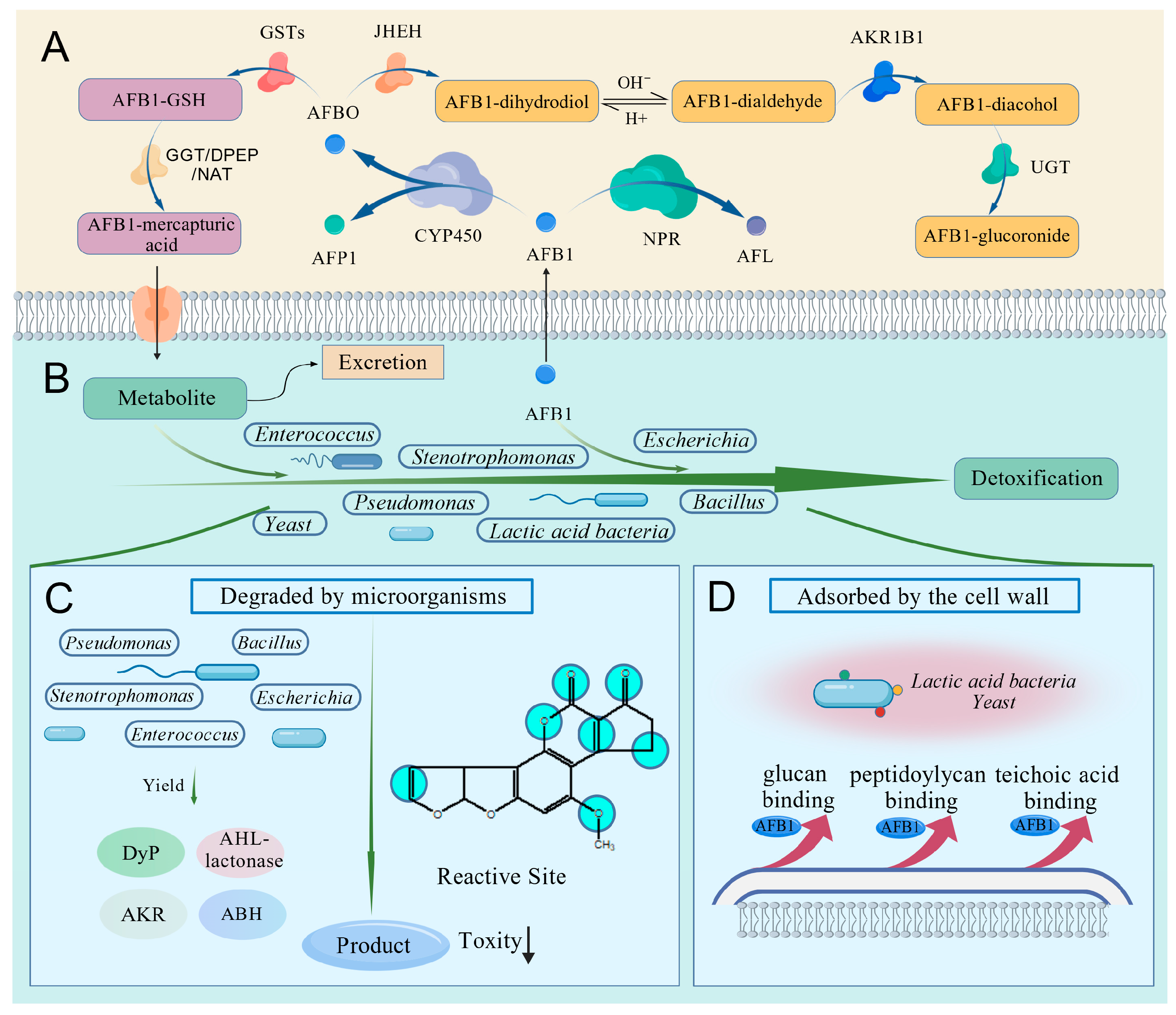 Animals 15 03351 g002
