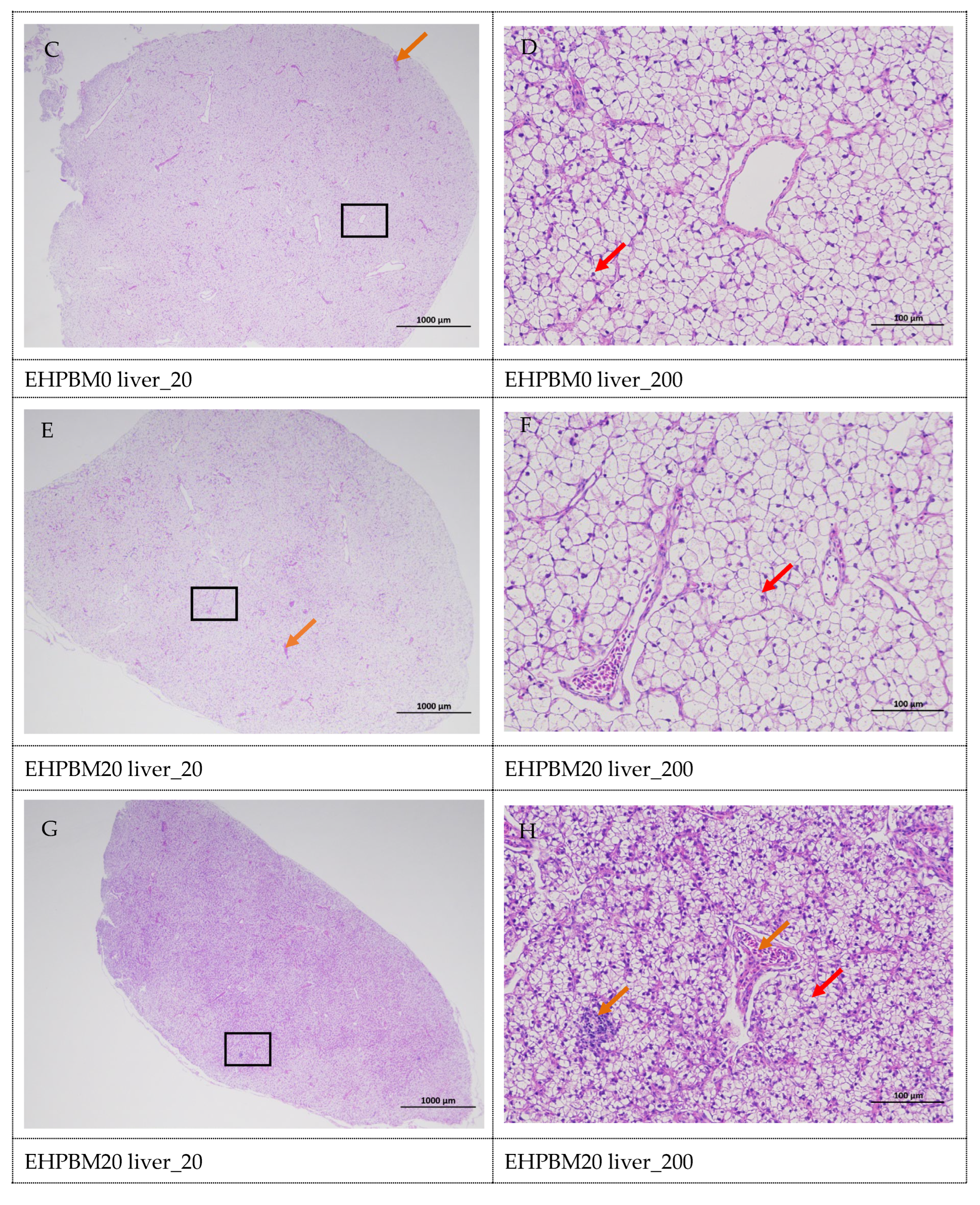 Animals 15 03359 g005b