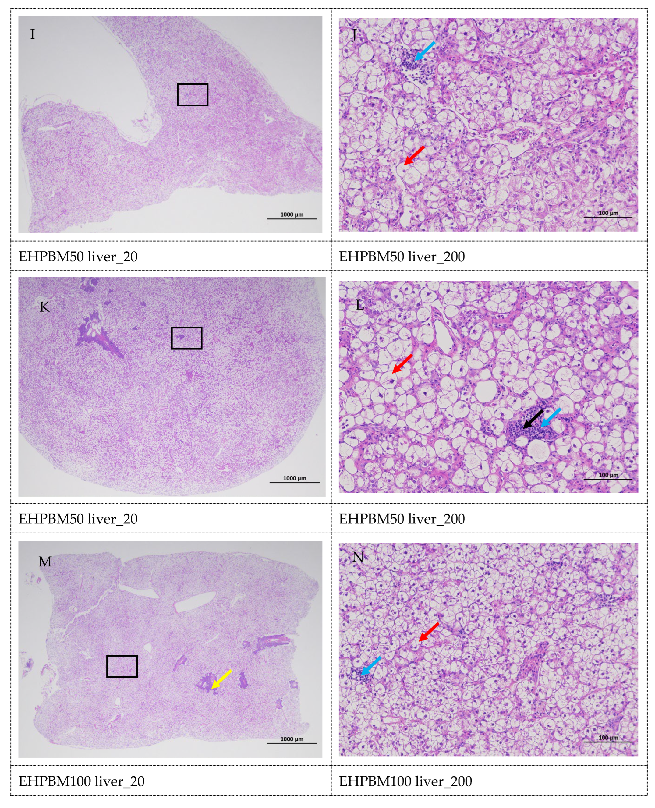 Animals 15 03359 g005c