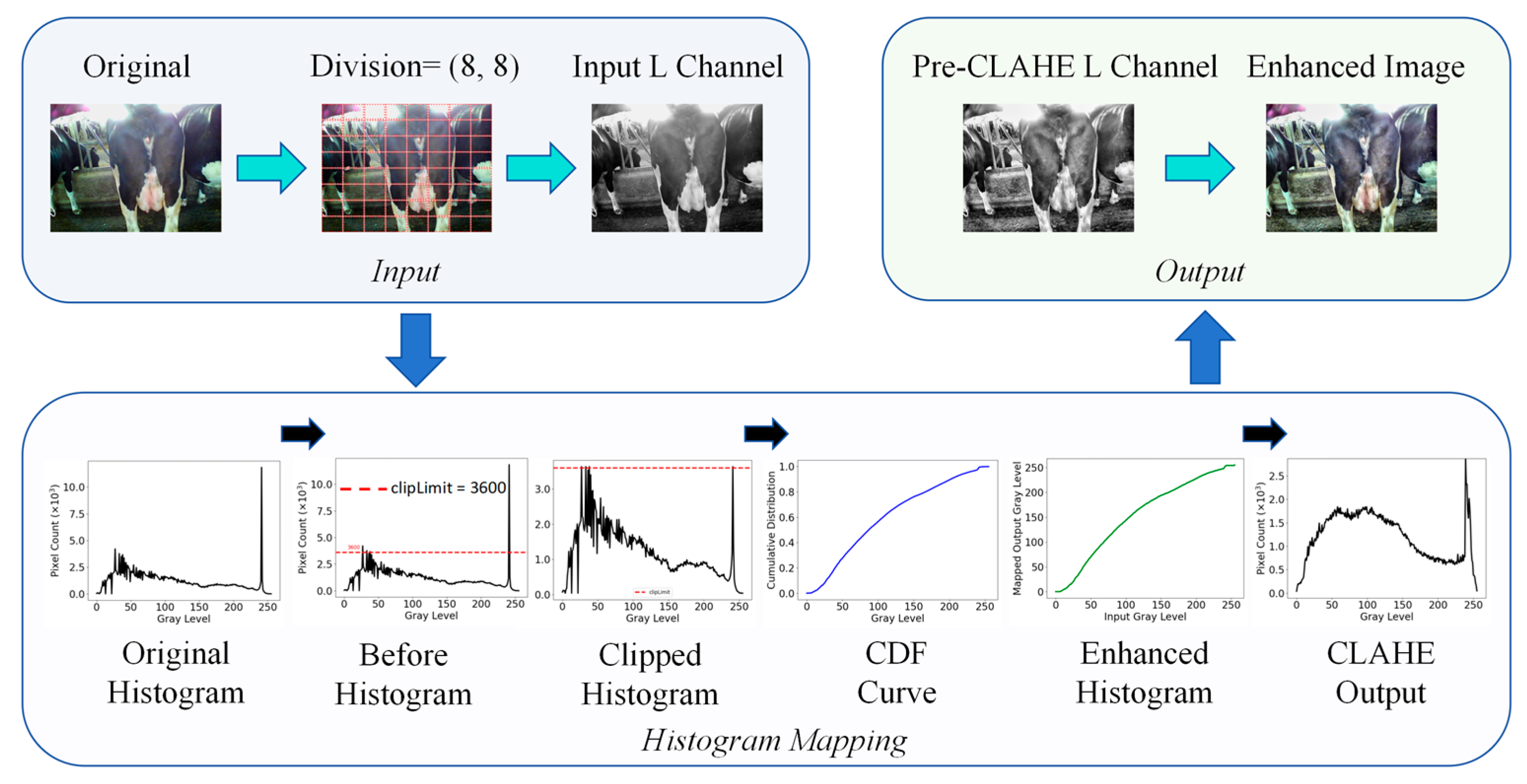 Animals 15 03361 g007