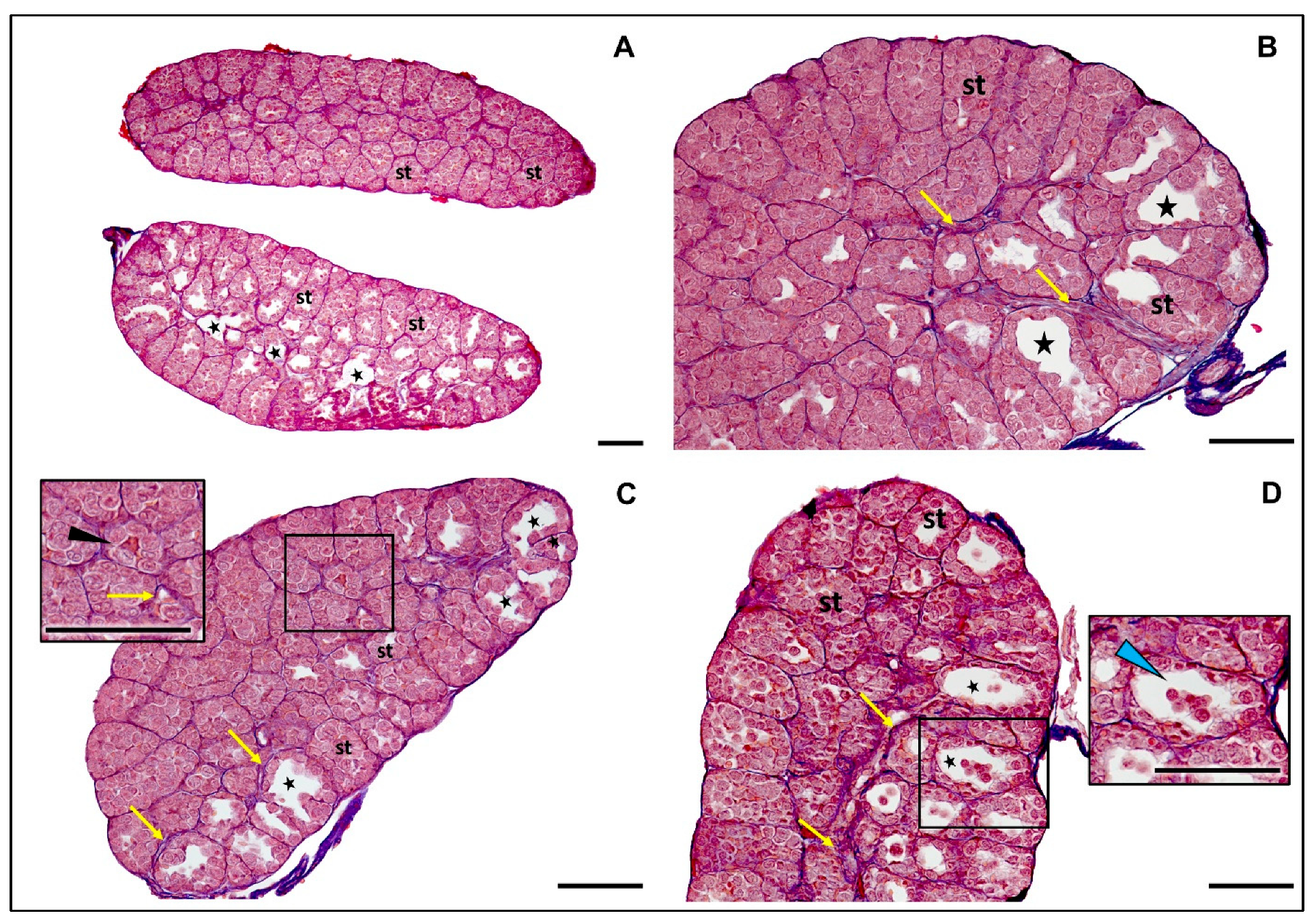 Animals 15 03364 g007