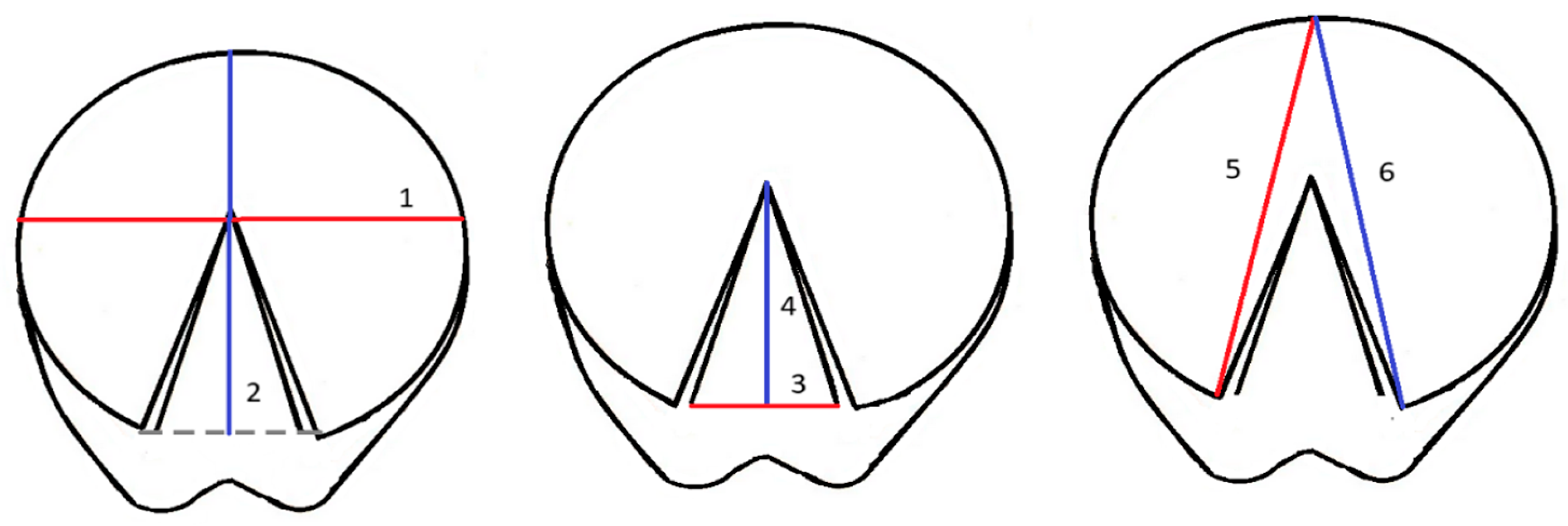 Animals 15 03369 g002