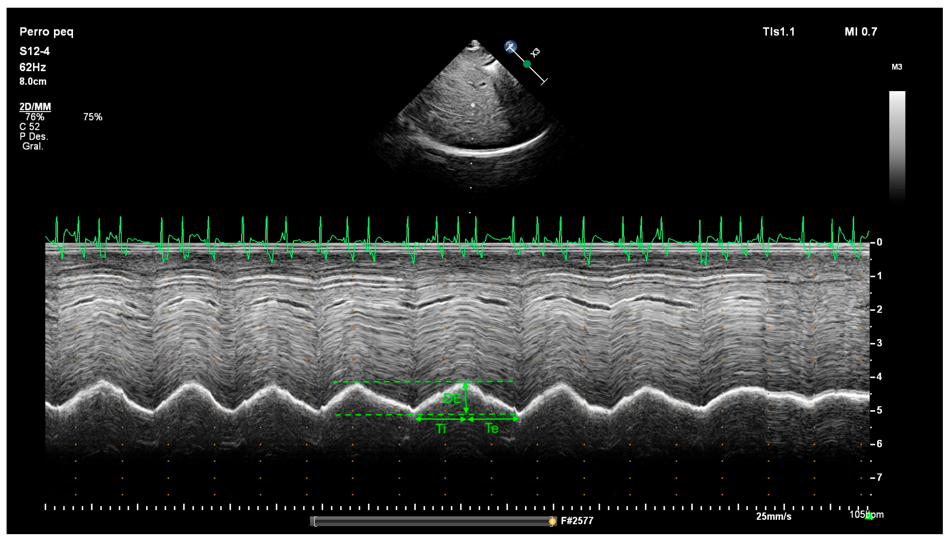 Animals 15 03371 g002