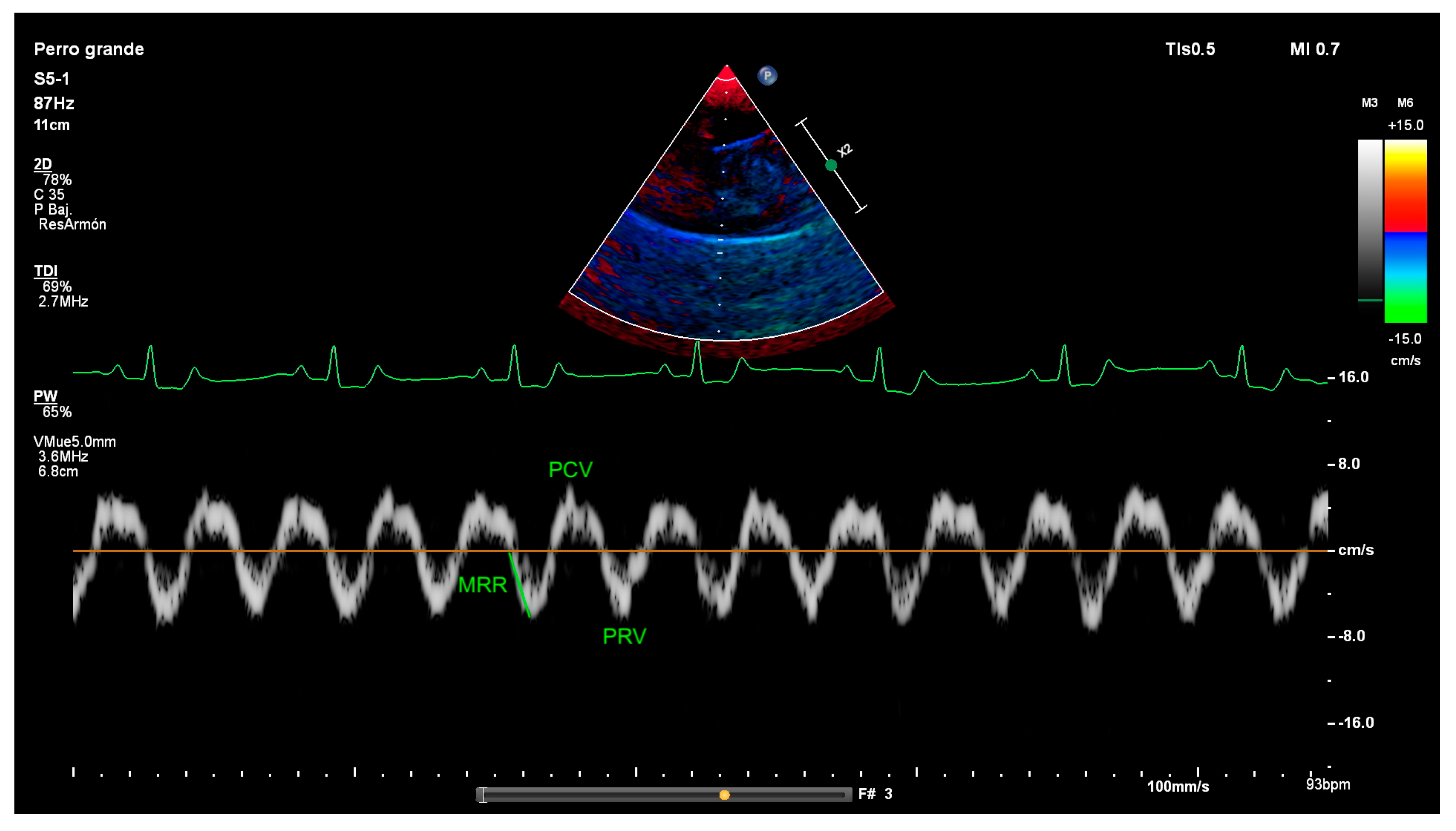 Animals 15 03371 g003
