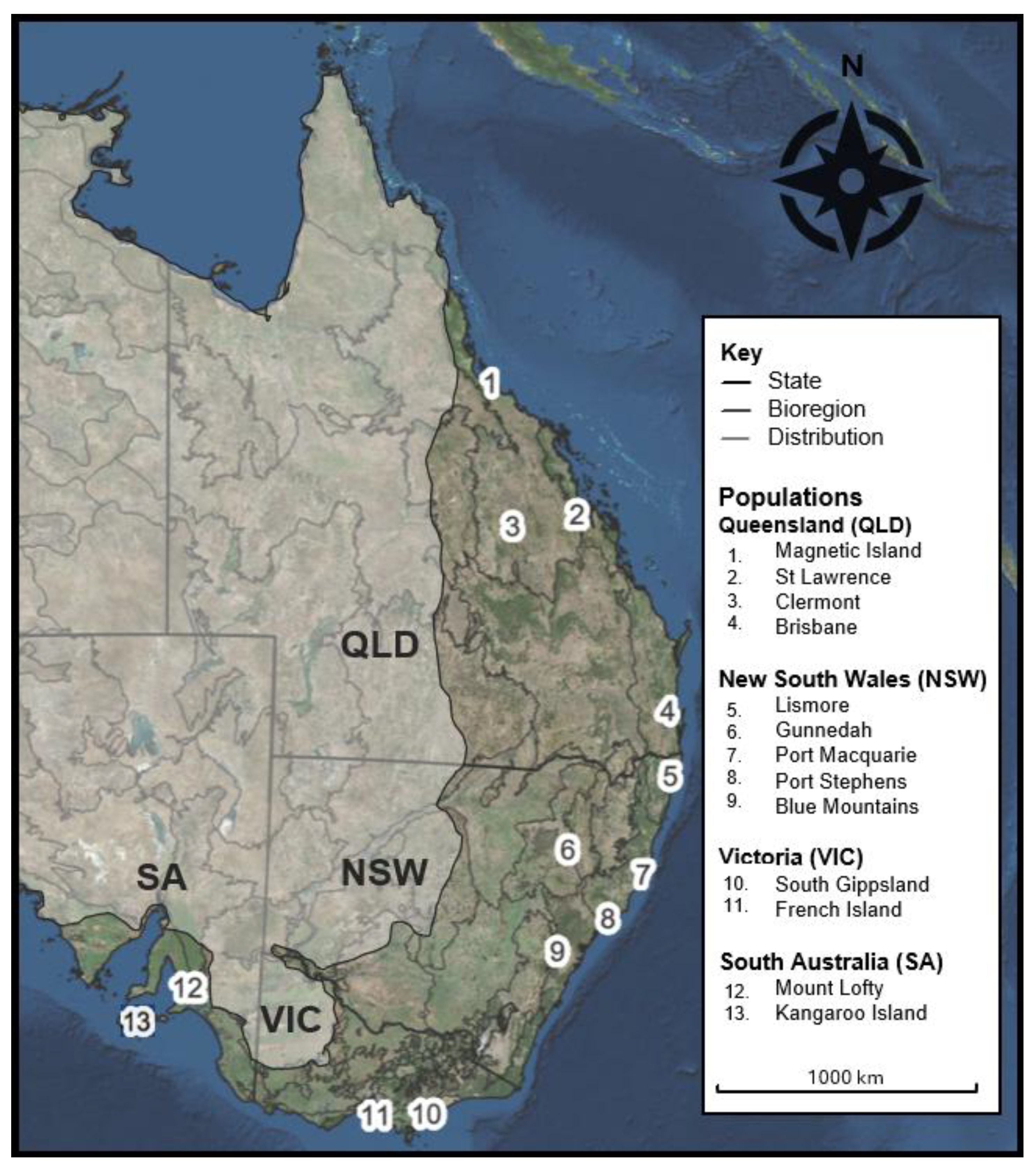 Animals 15 03375 g001