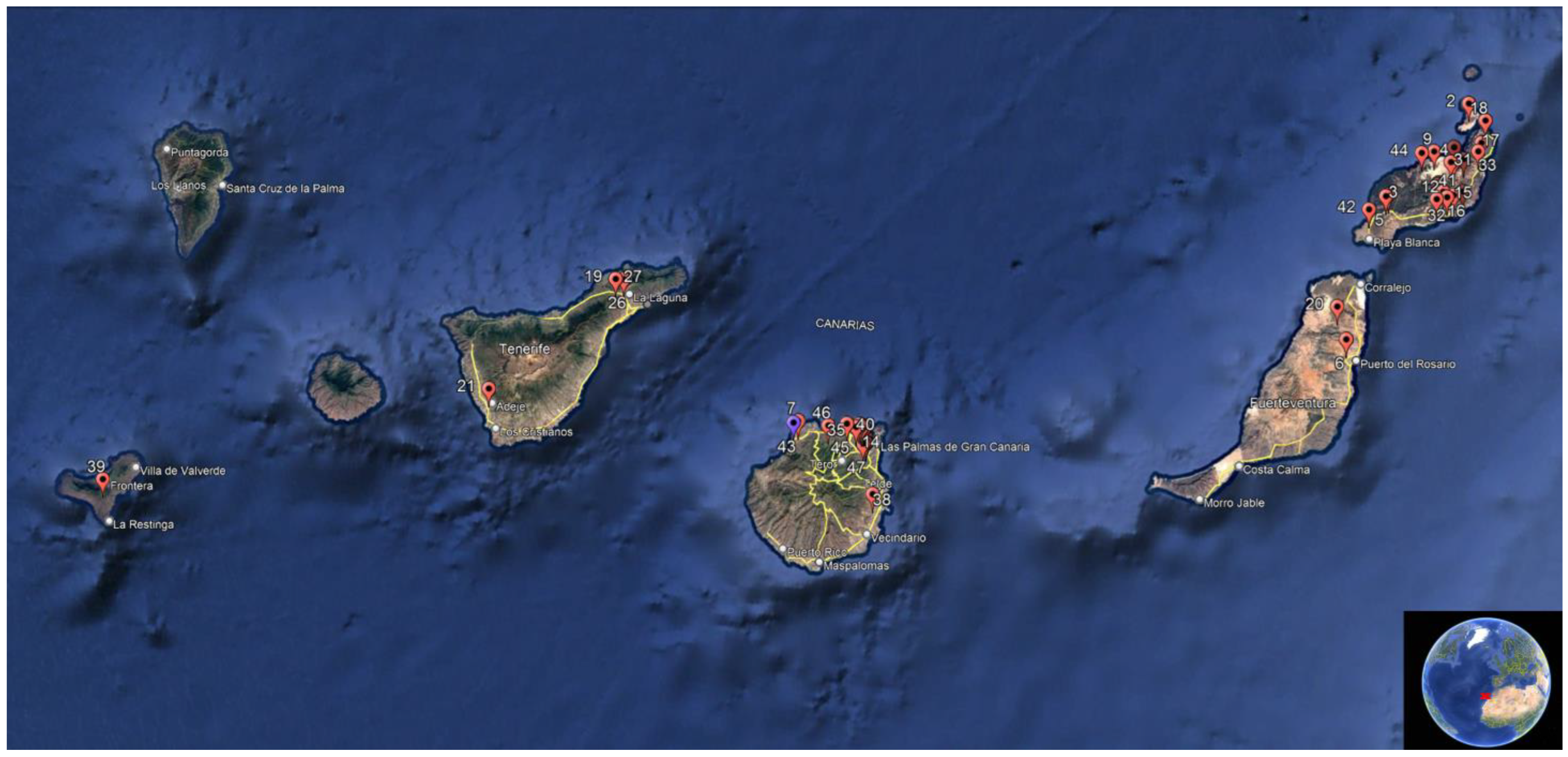 Animals 15 03381 g001