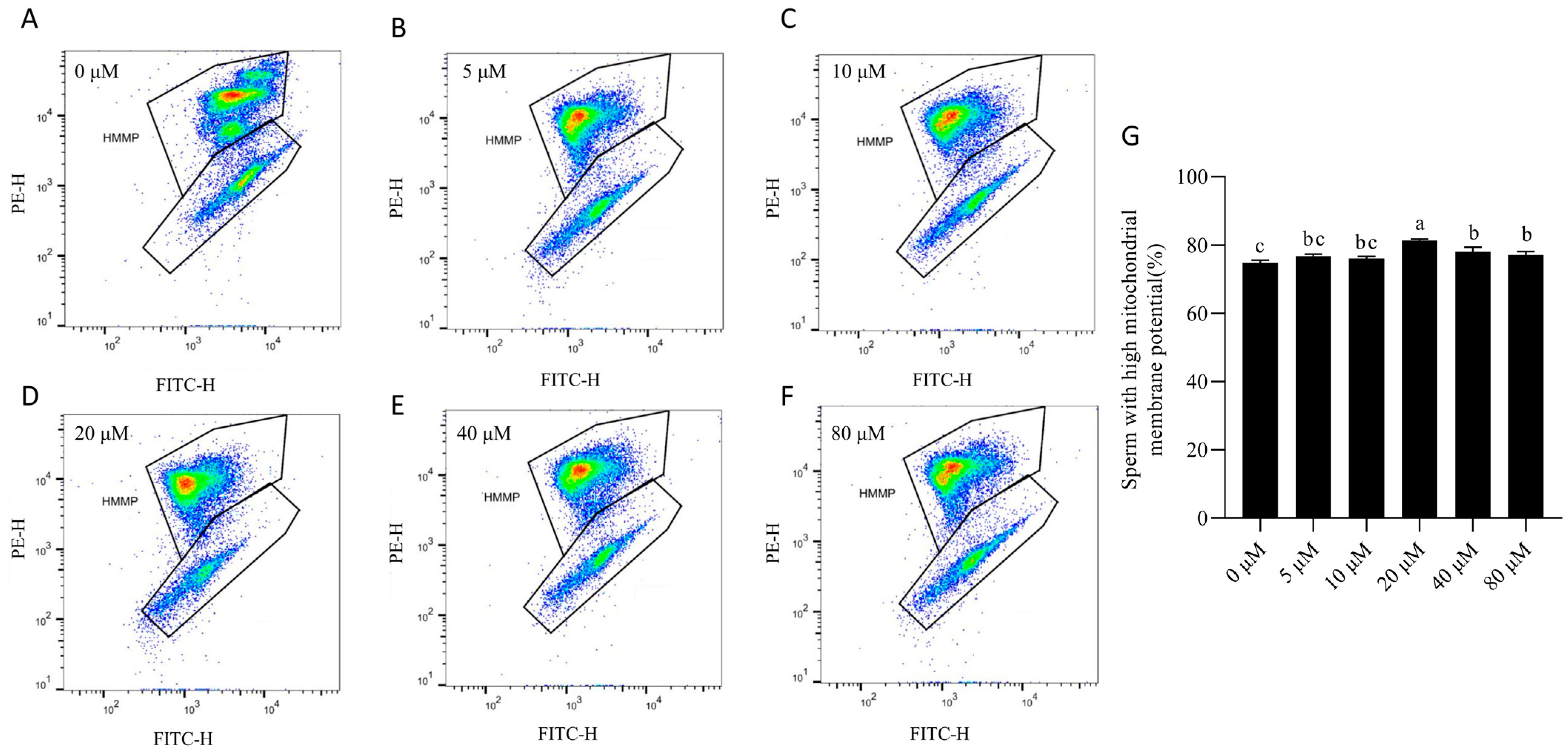 Animals 15 03383 g004