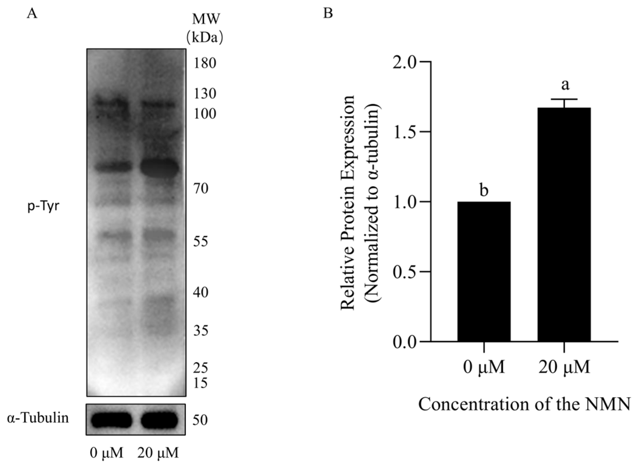 Animals 15 03383 g007